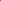Magenta Muse Textured Backdrop