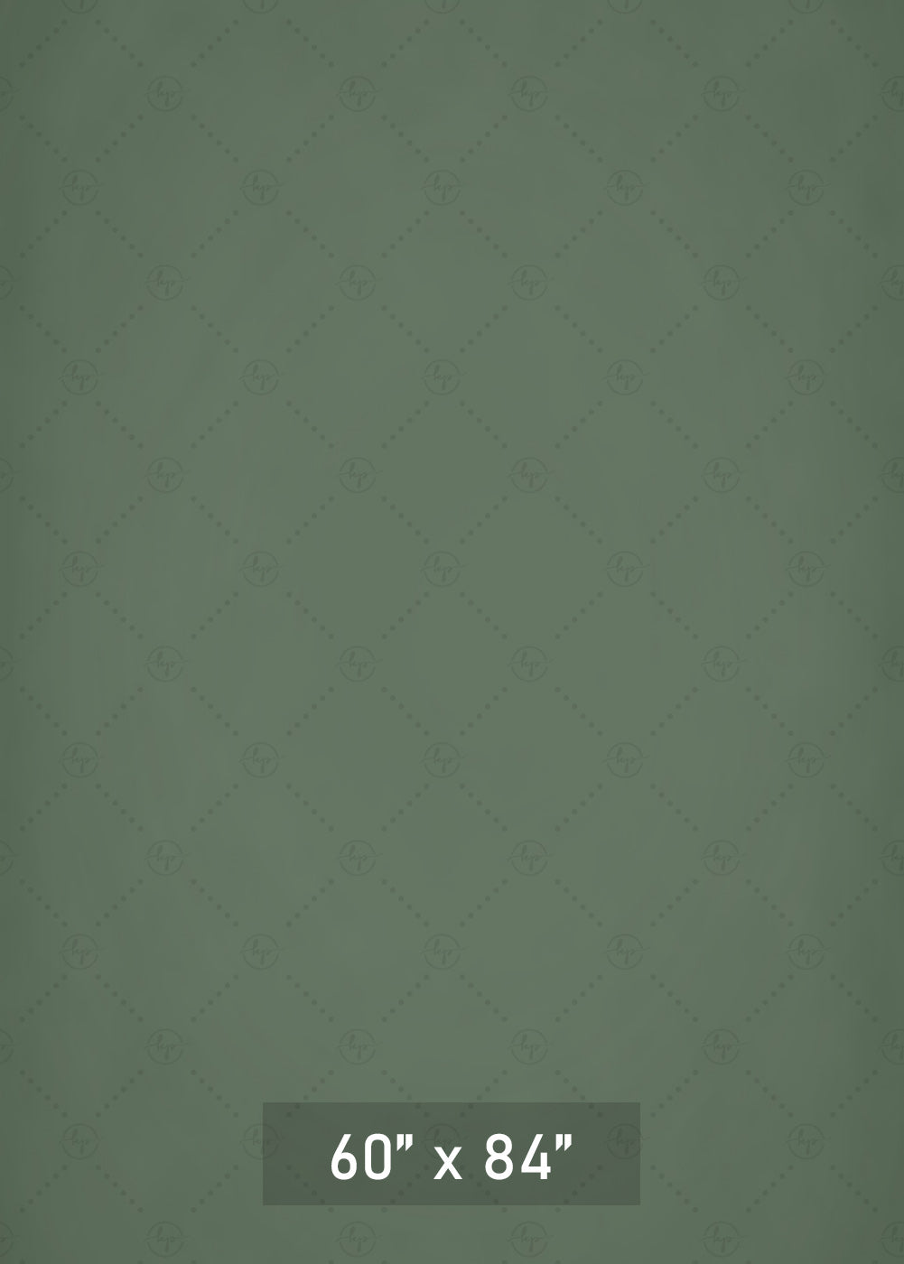 Enchanted Forest Vortex