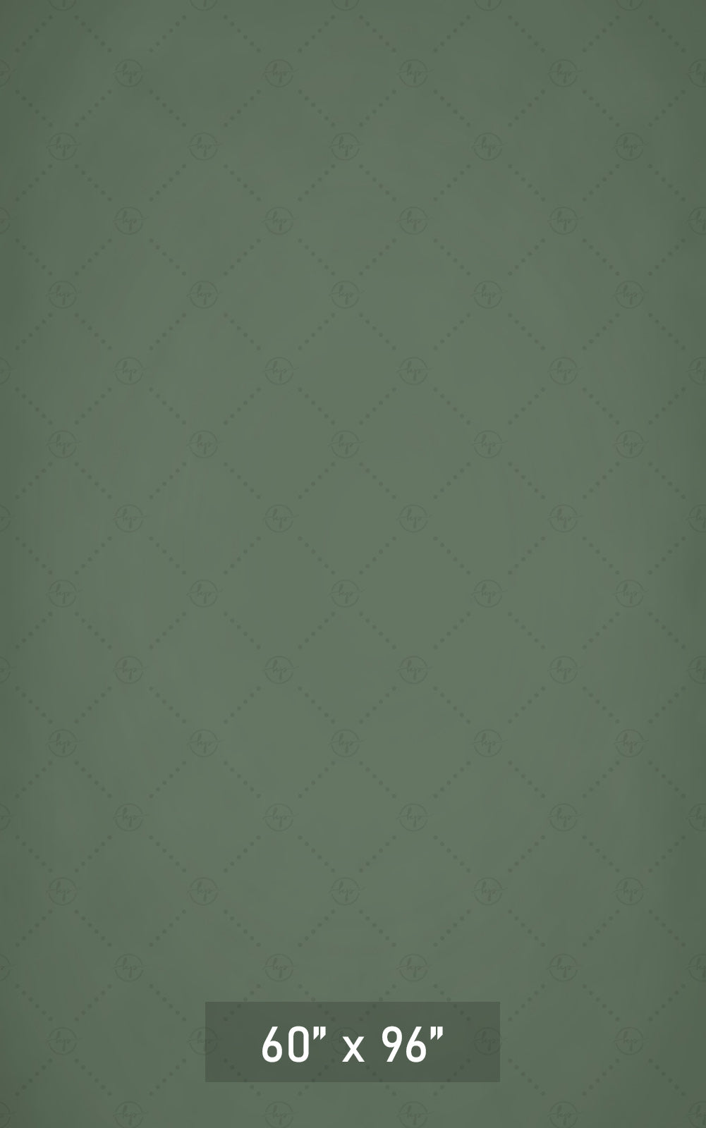 Enchanted Forest Vortex