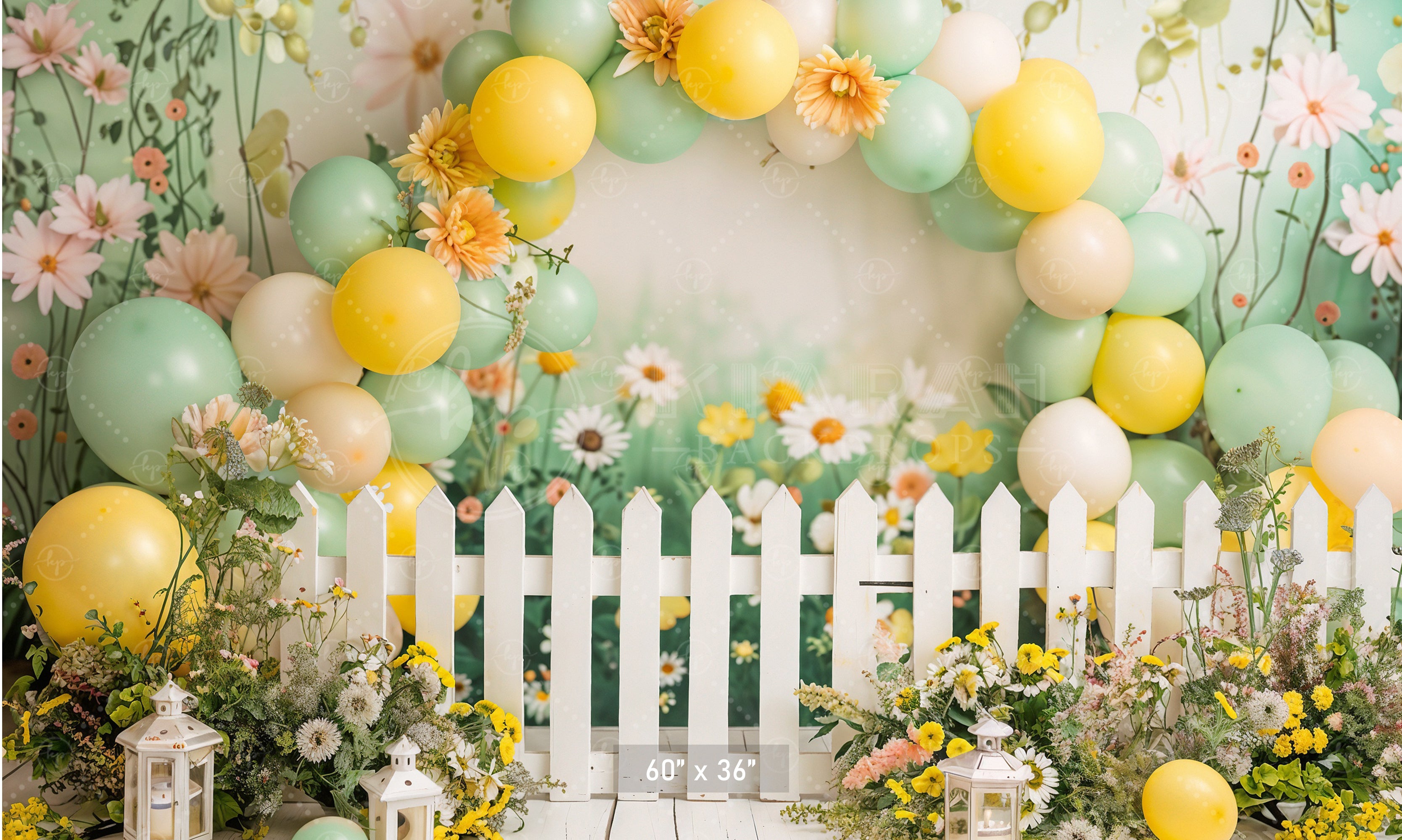 Daisy Garden Delight Backdrop