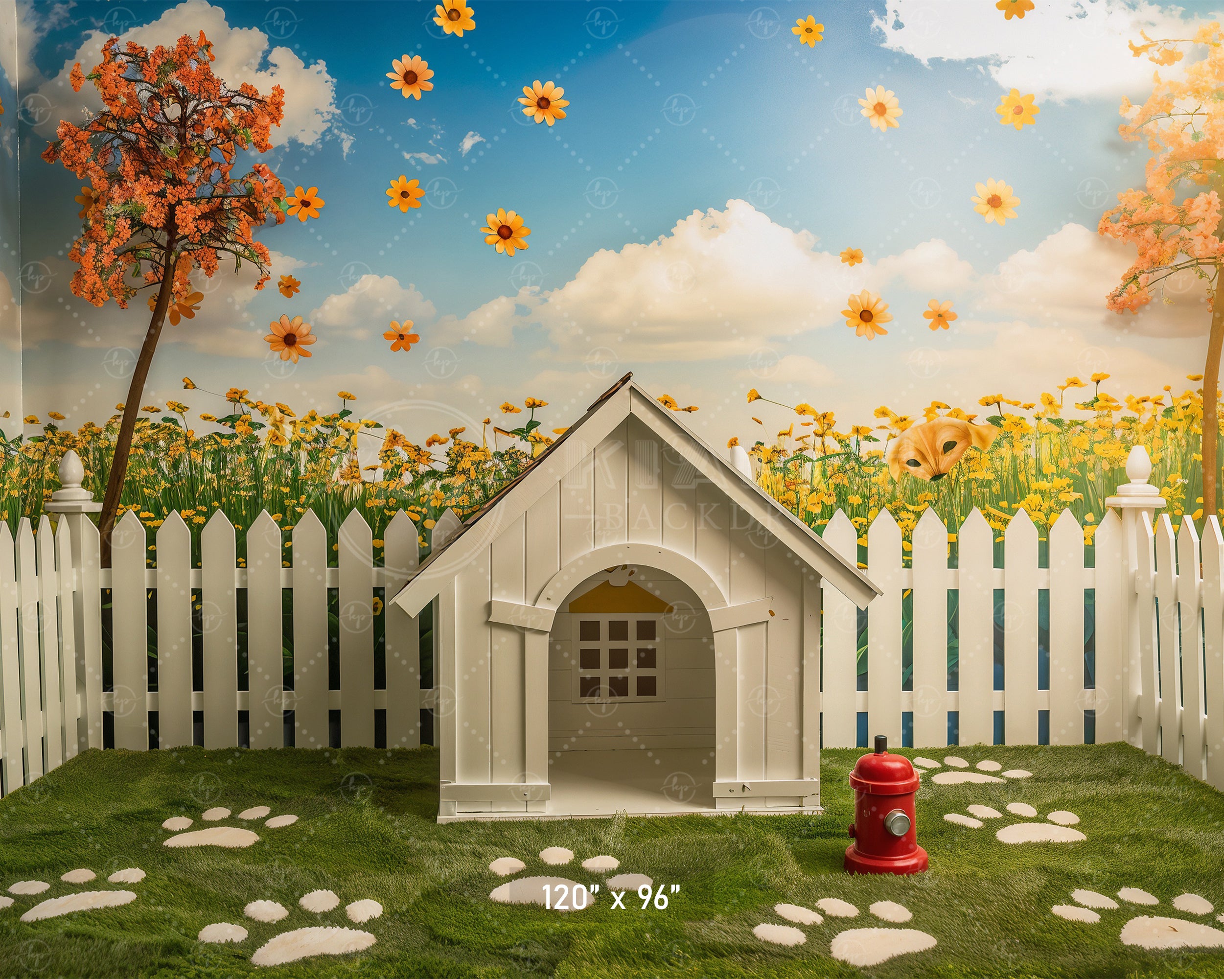 Sunny Pet Paradise Backdrop