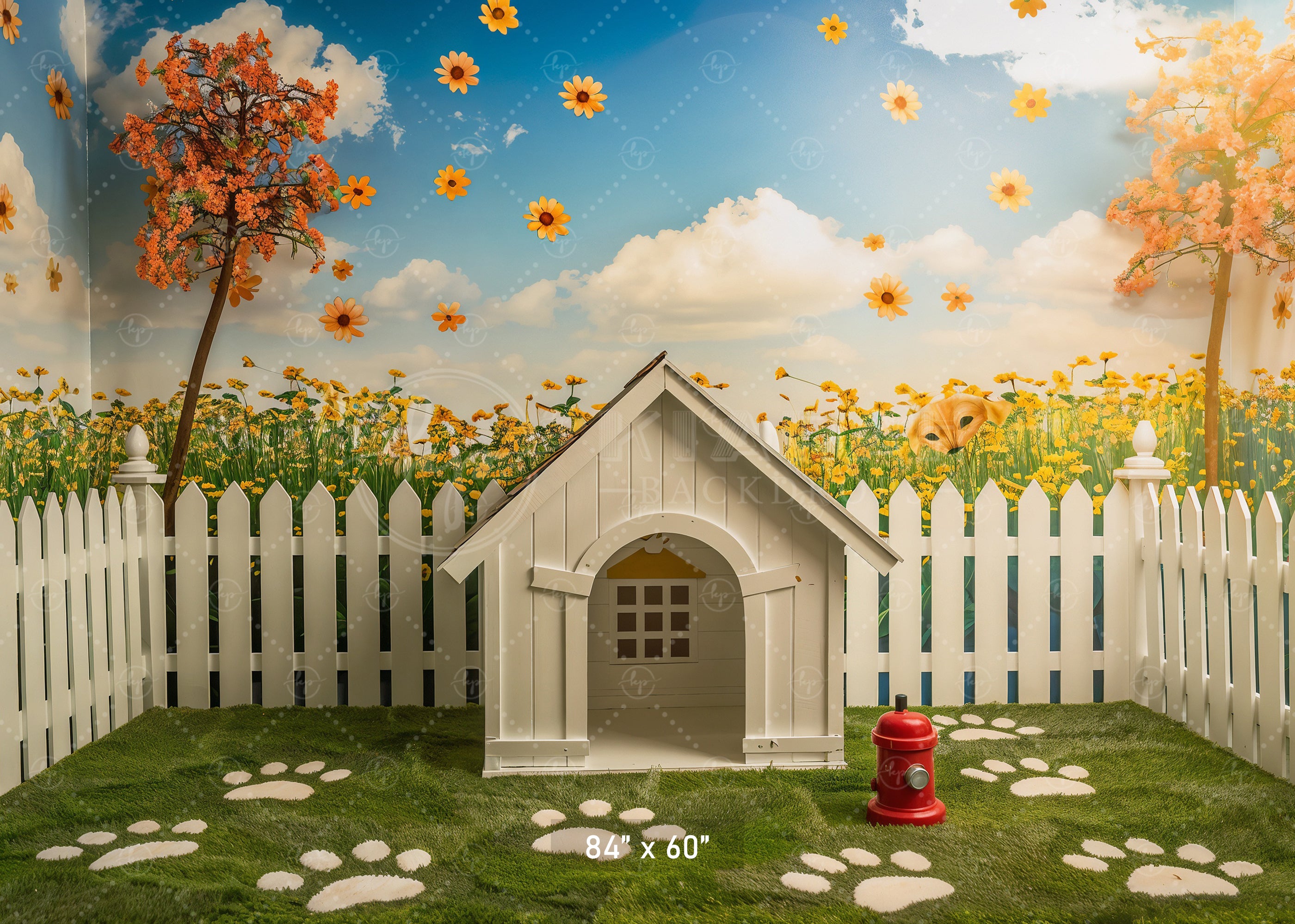 Sunny Pet Paradise Backdrop