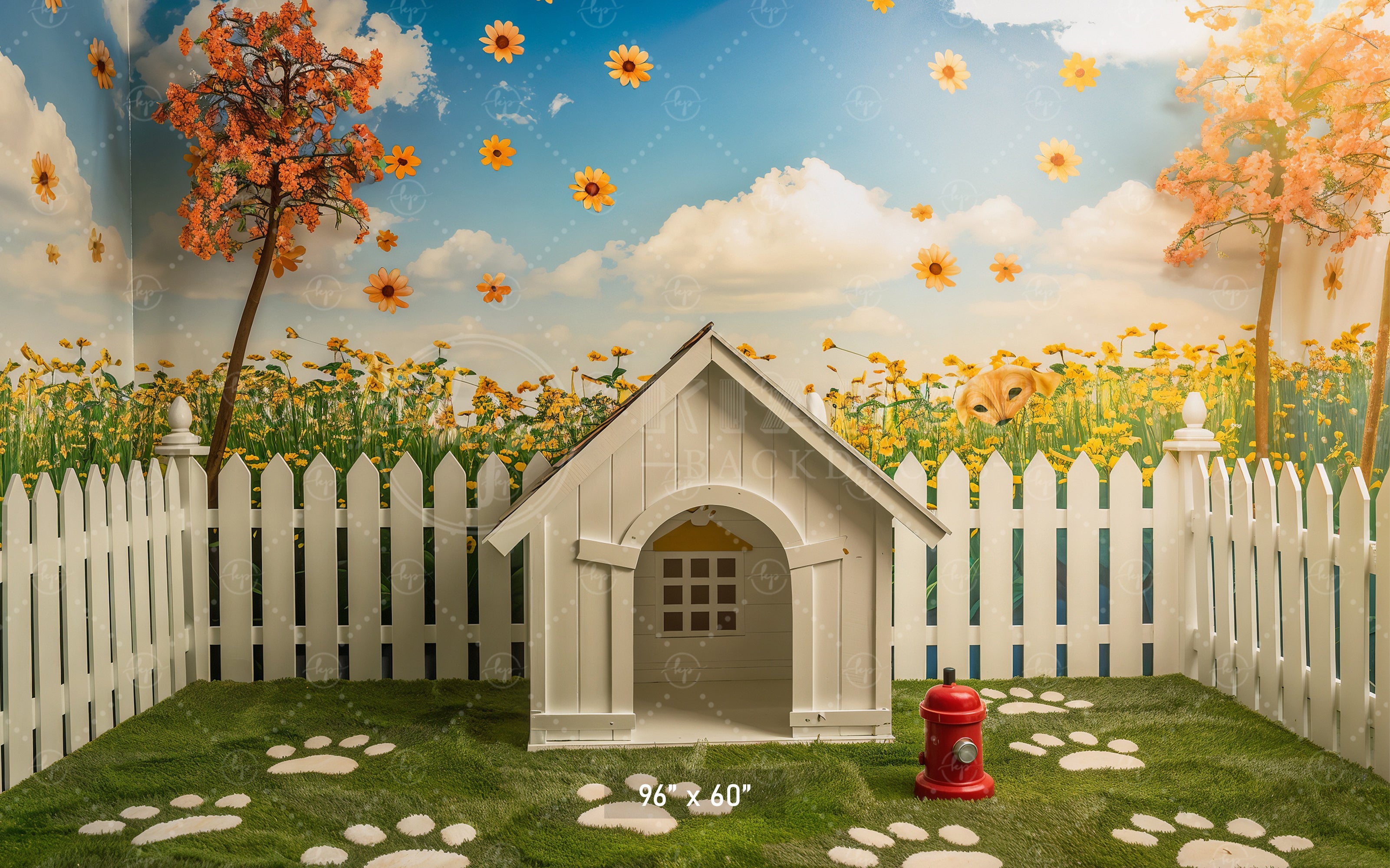 Sunny Pet Paradise Backdrop