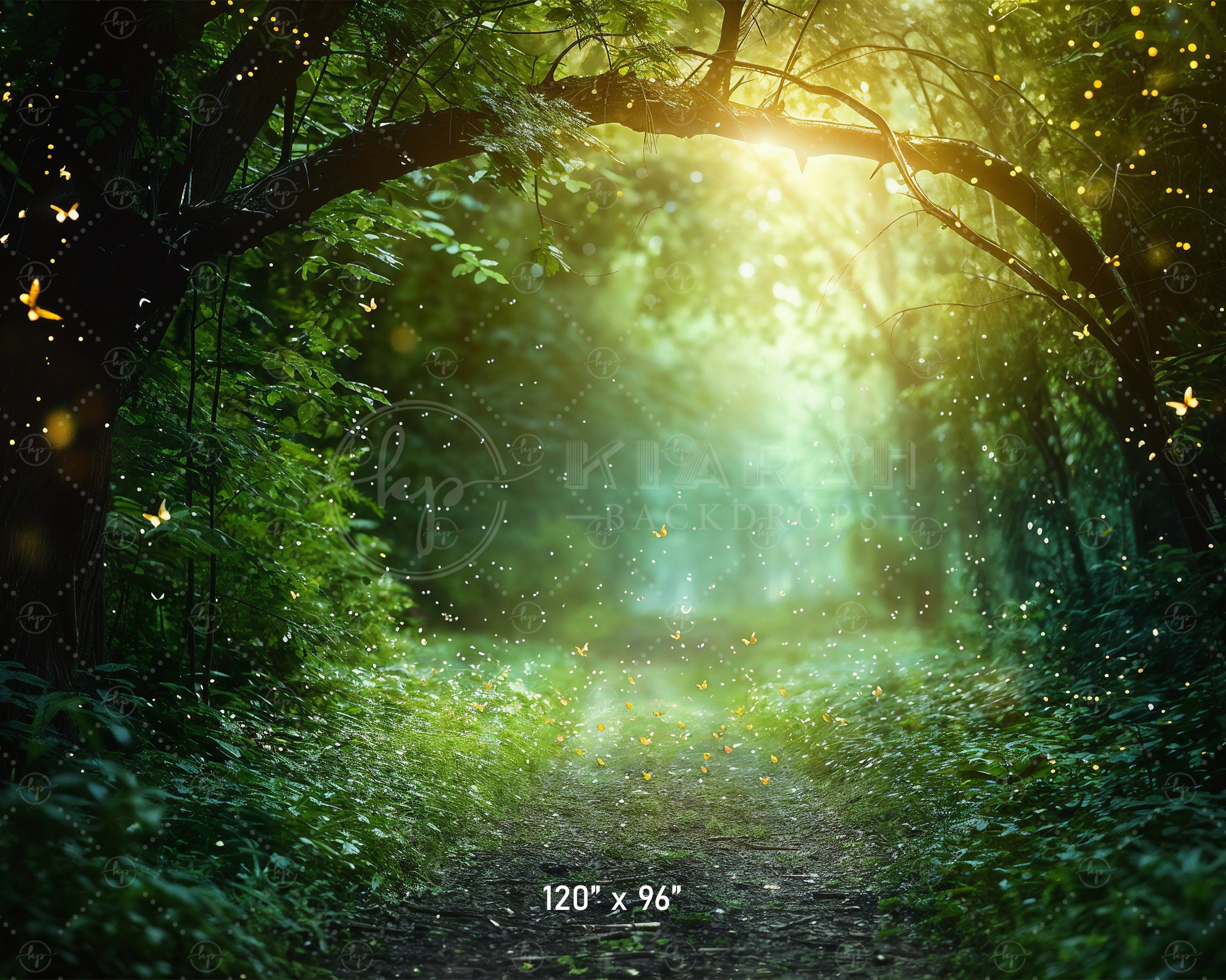 Magical Forest Pathway Backdrop