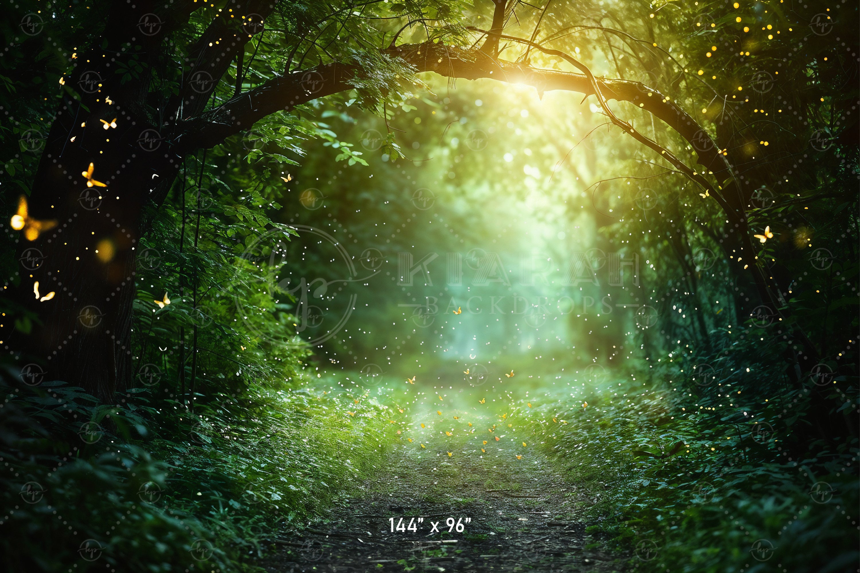 Magical Forest Pathway Backdrop