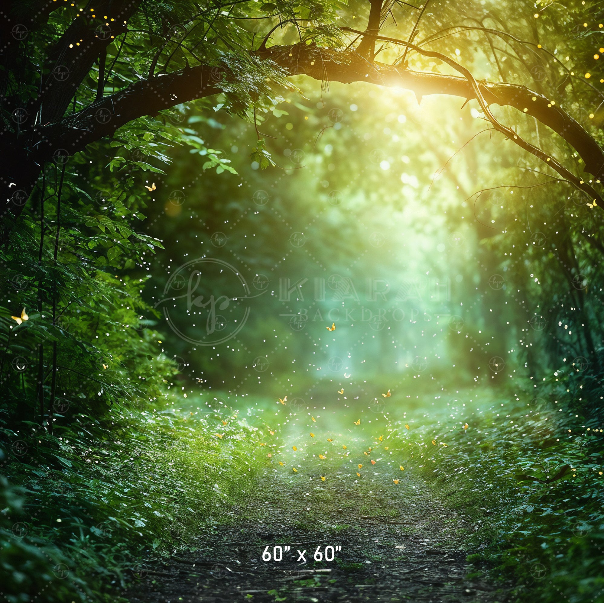 Magical Forest Pathway Backdrop