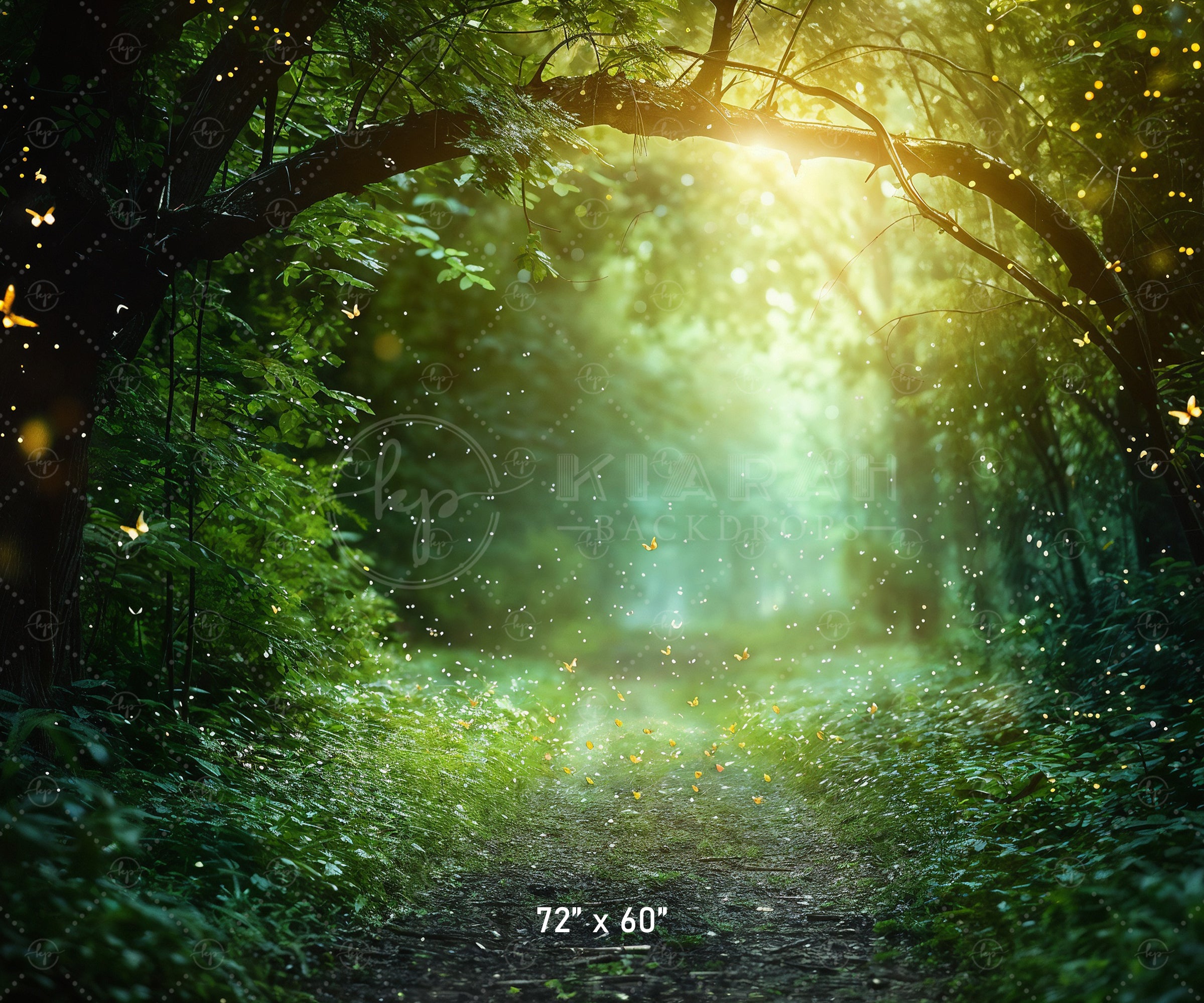 Magical Forest Pathway Backdrop