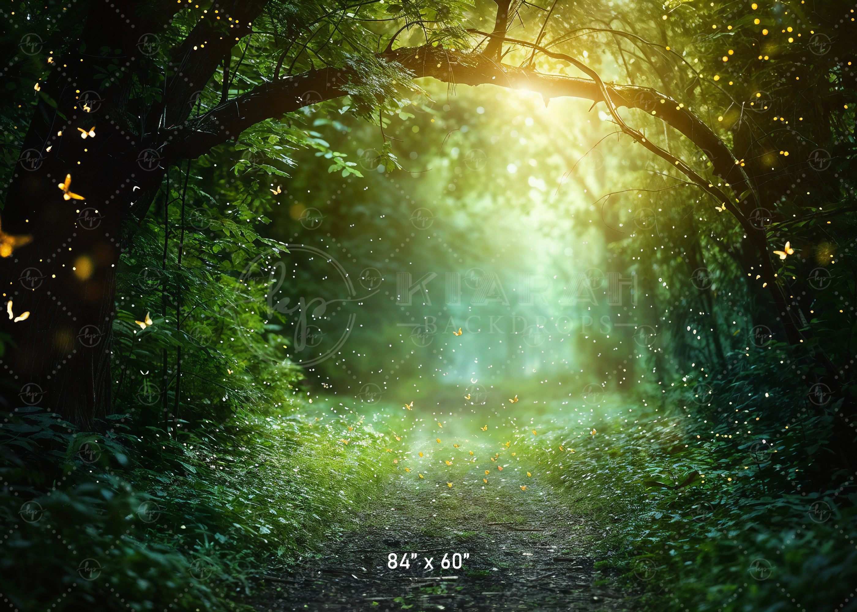 Magical Forest Pathway Backdrop