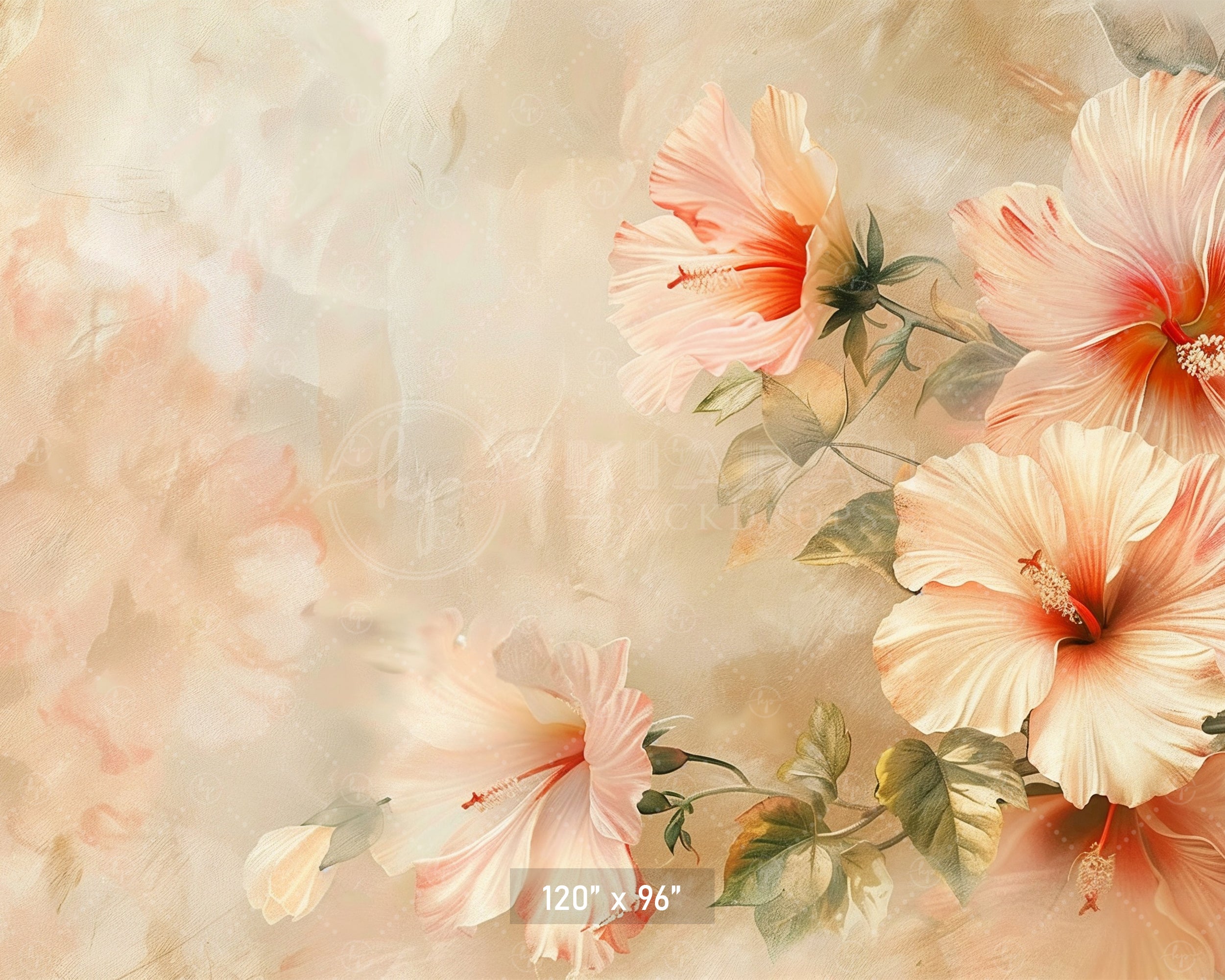 Elegant Peach Hibiscus Backdrop