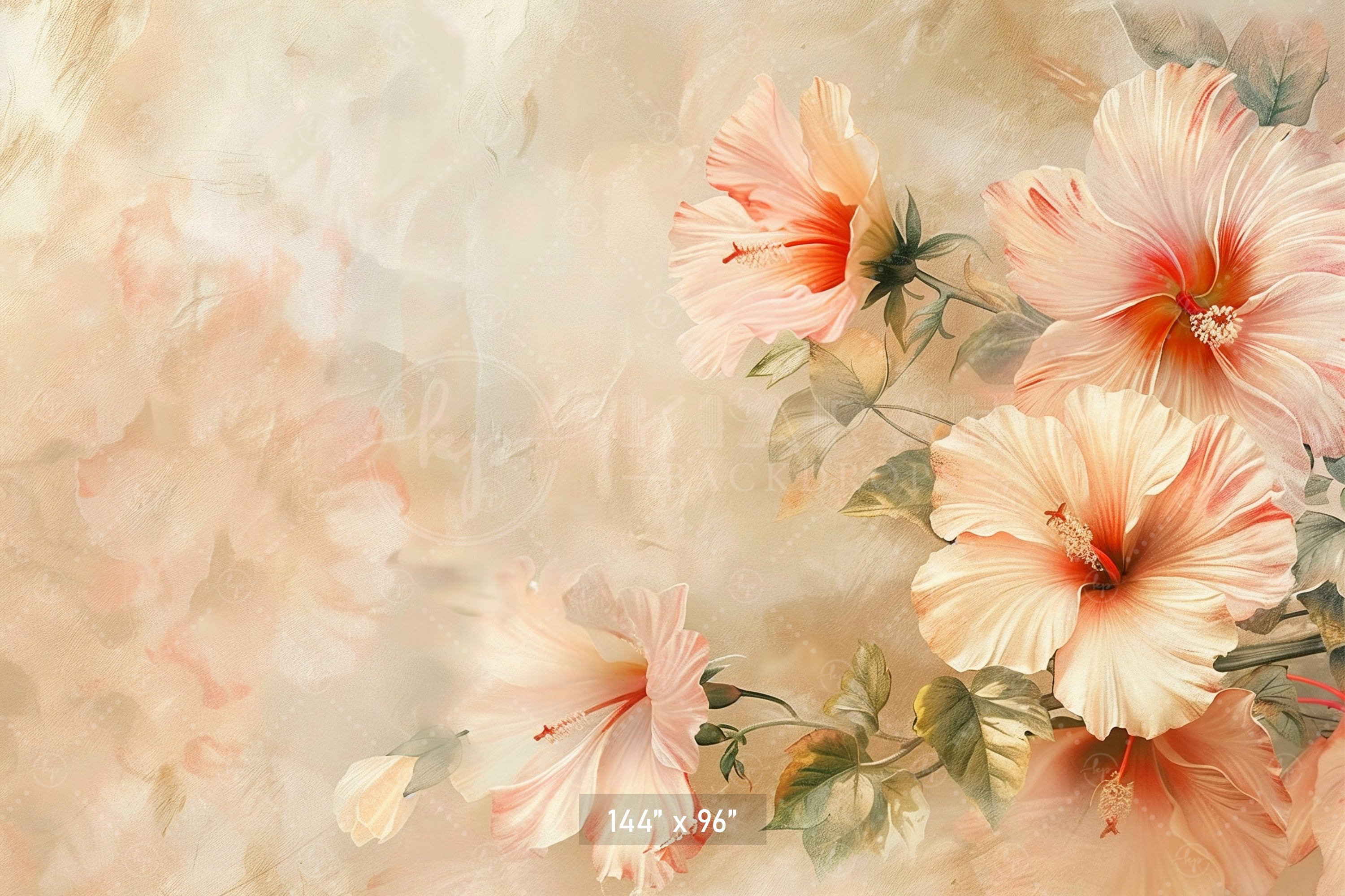 Elegant Peach Hibiscus Backdrop