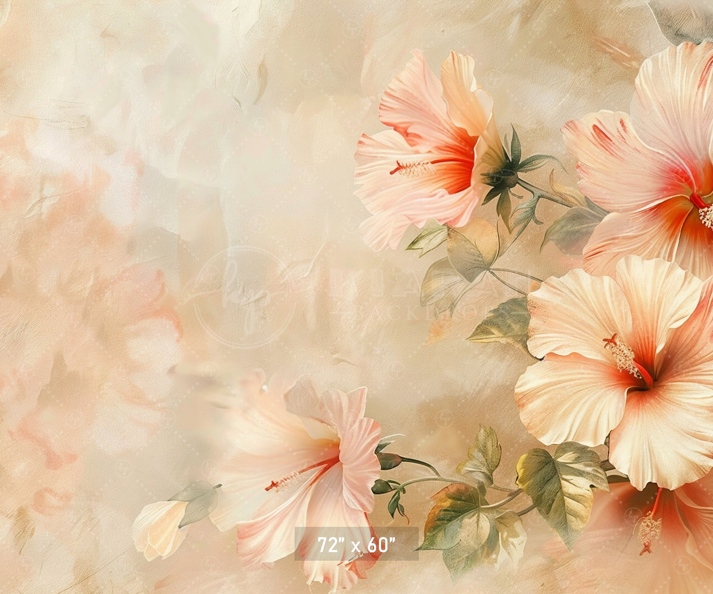 Elegant Peach Hibiscus Backdrop