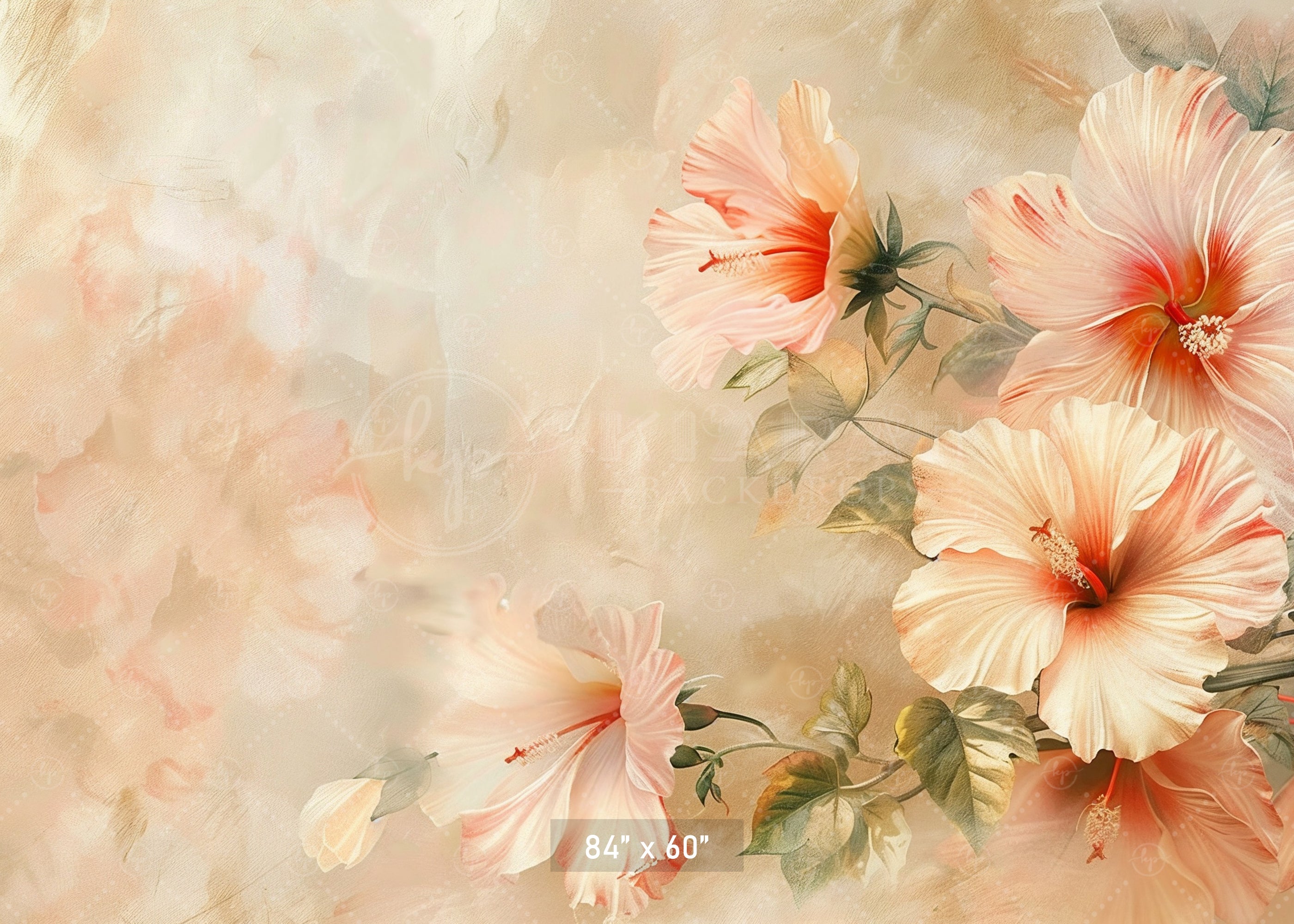 Elegant Peach Hibiscus Backdrop