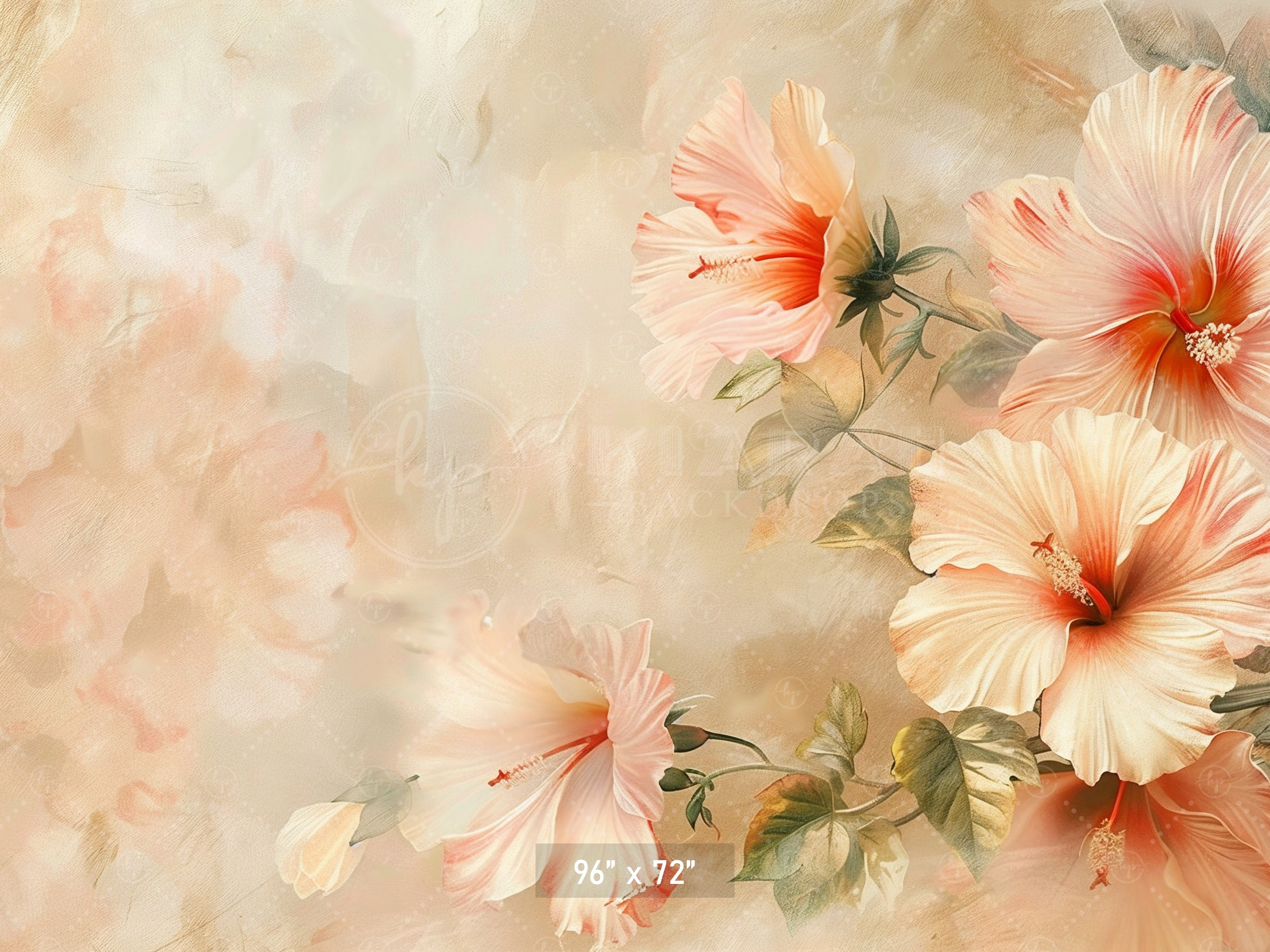 Elegant Peach Hibiscus Backdrop