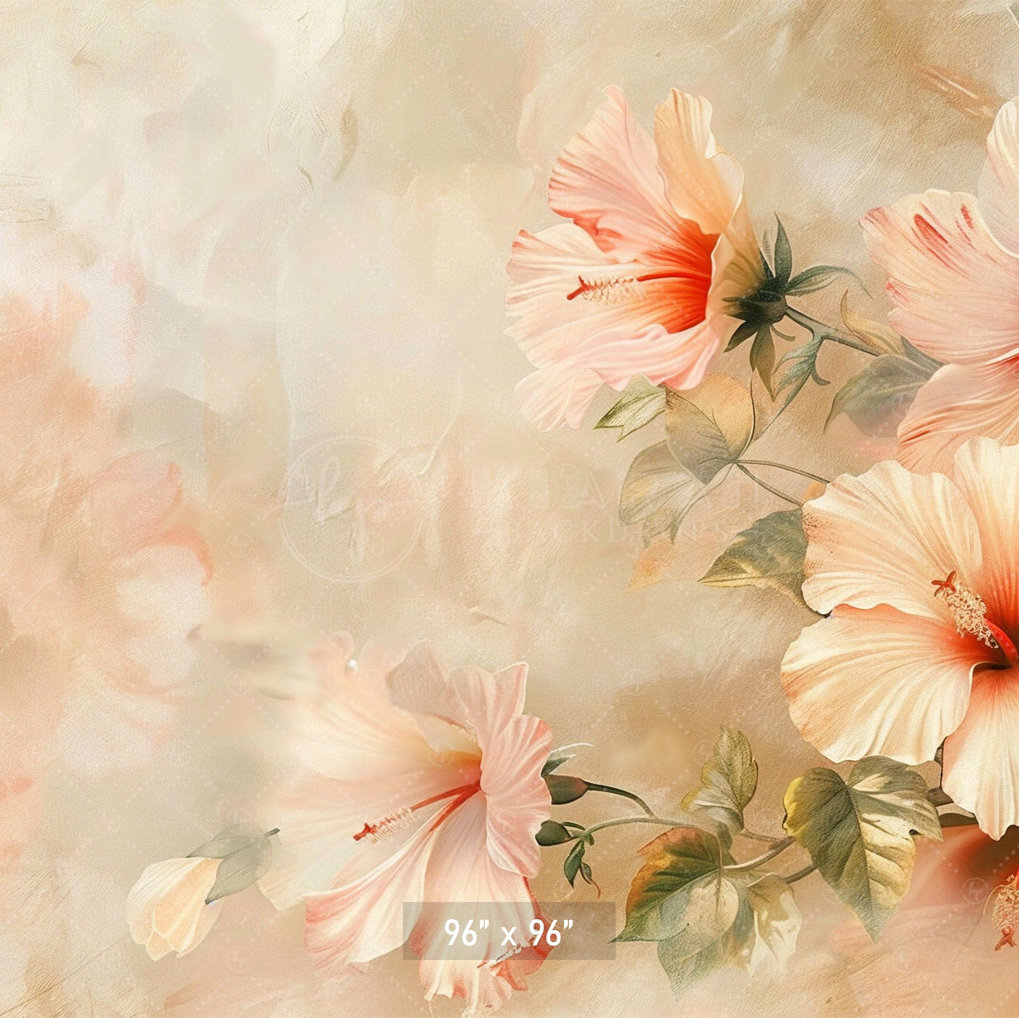 Elegant Peach Hibiscus Backdrop