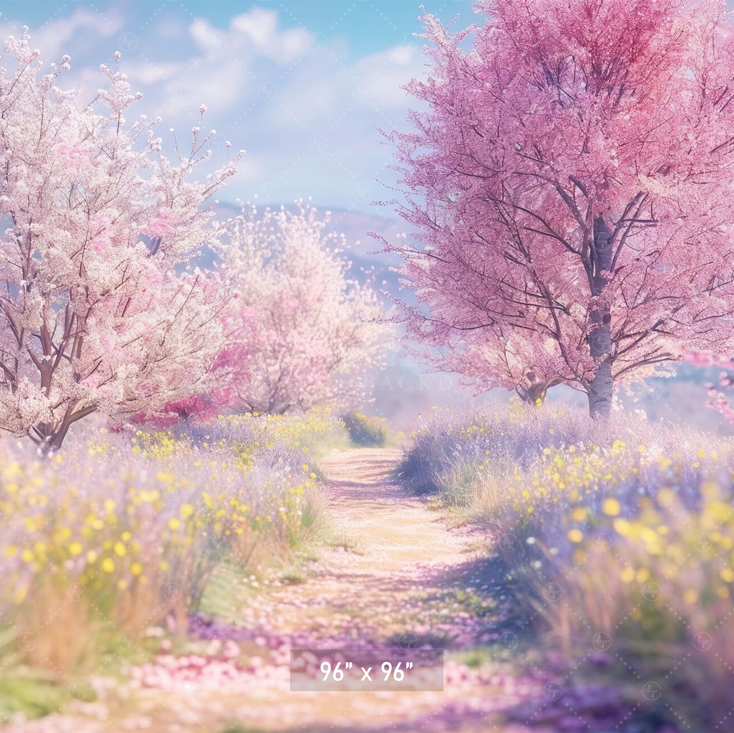 Blossom Pathway in Spring Backdrop