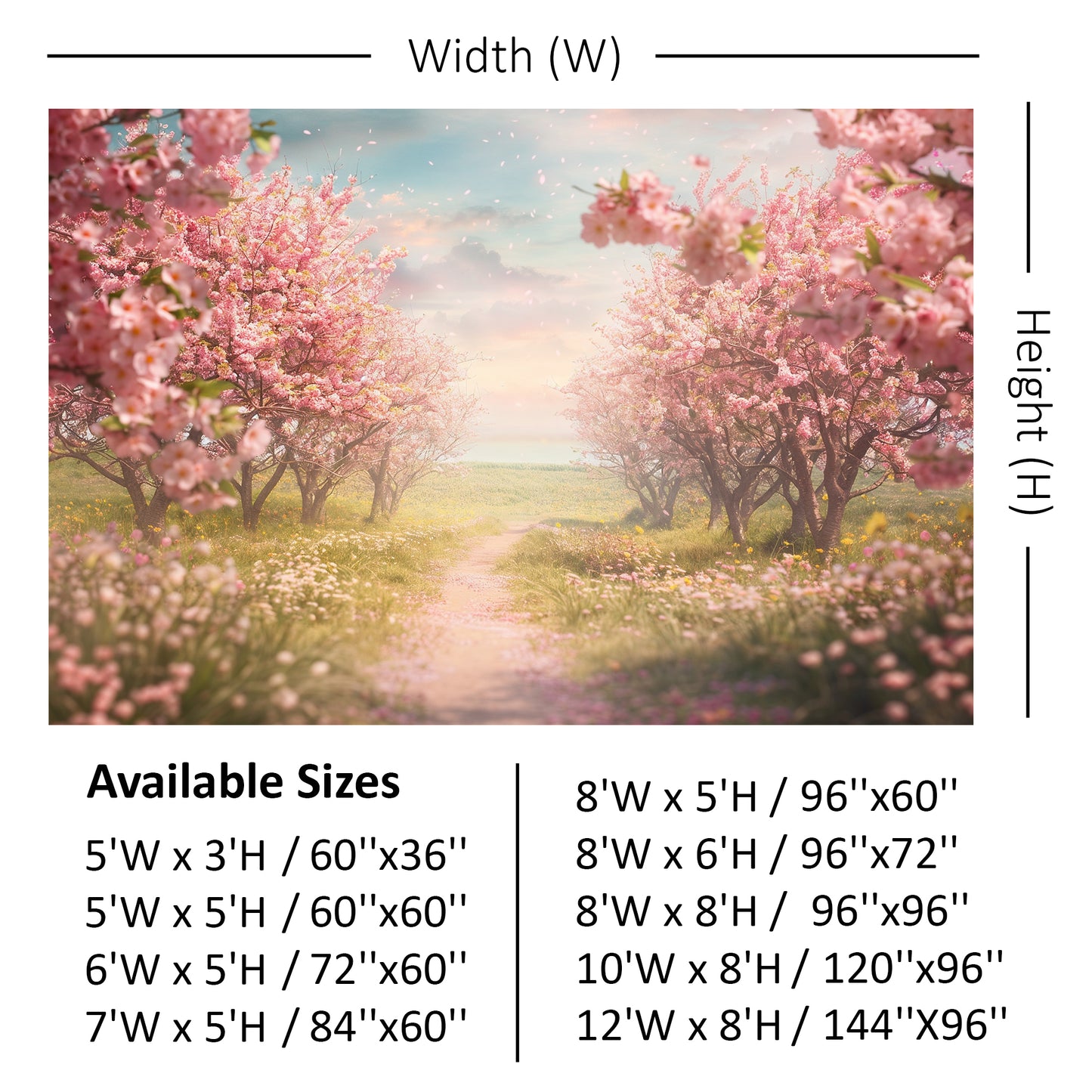 Blooming Cherry Blossom Pathway Backdrop