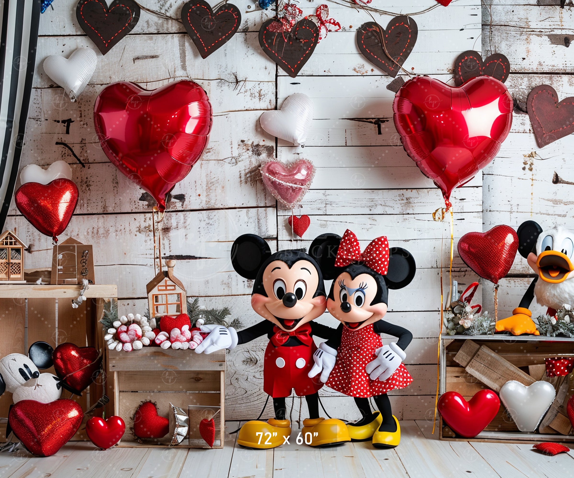 Valentine's Day Mouse Couple Backdrop