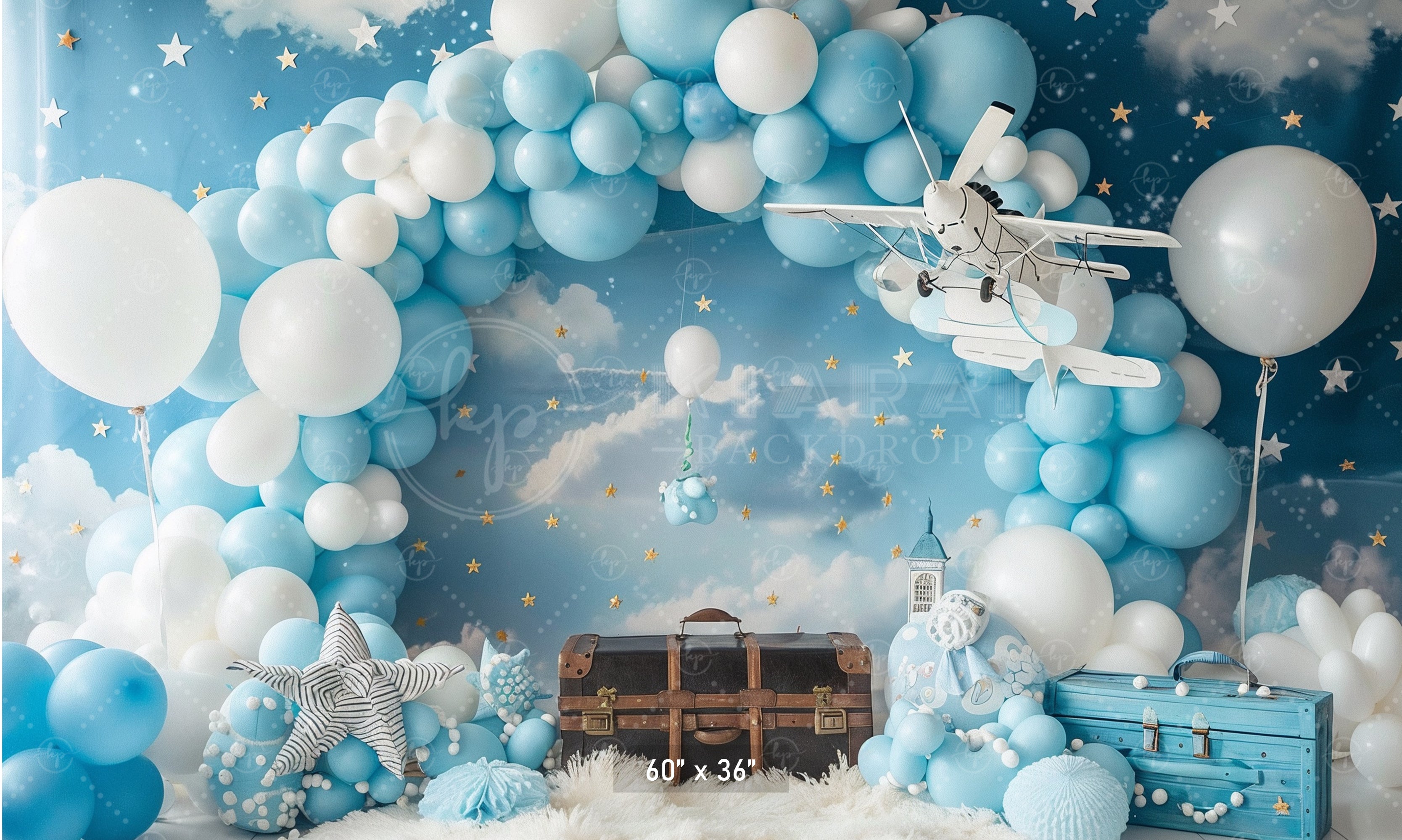 Sky Adventure Balloon Backdrop