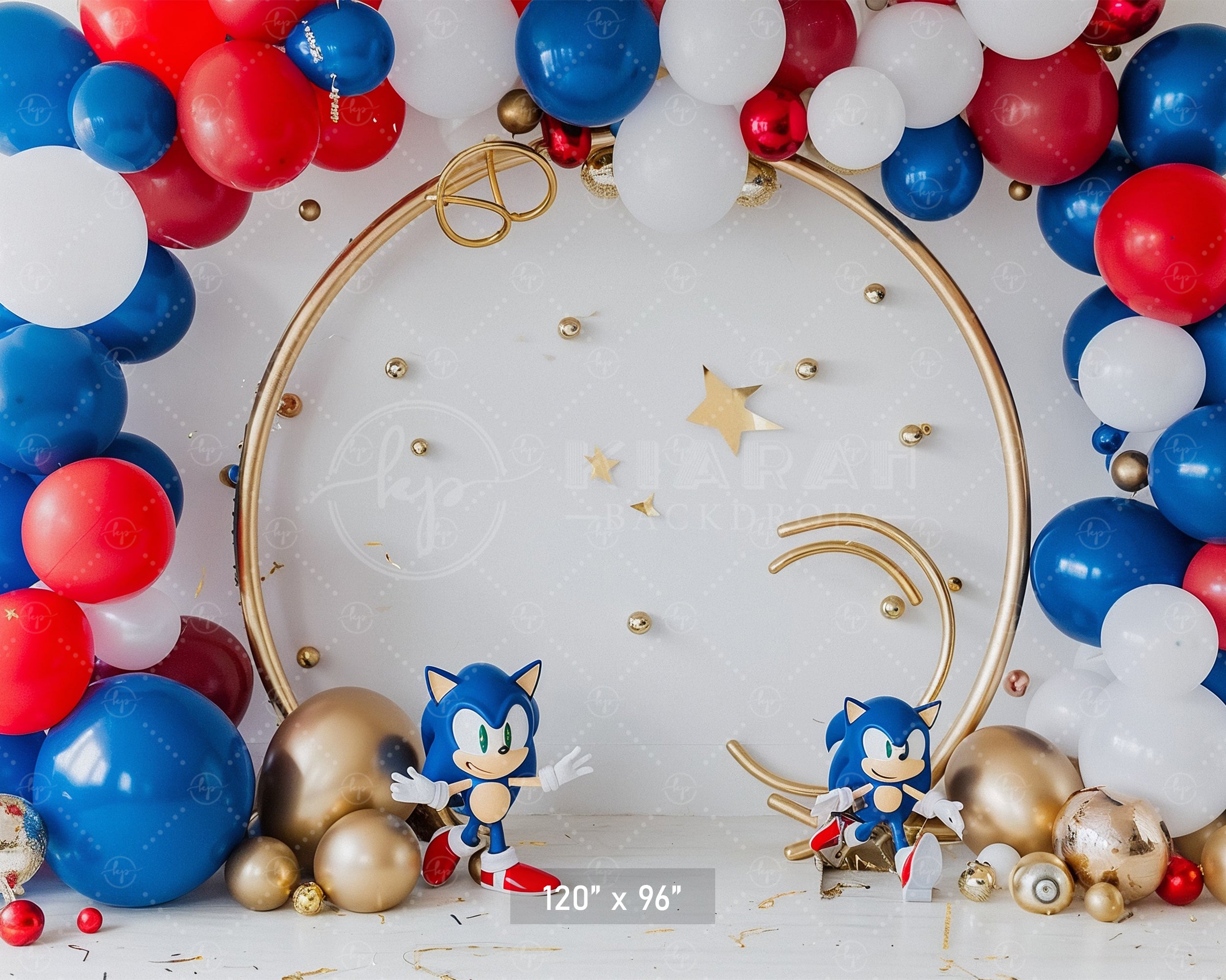 Sonic Speed Celebration Backdrop