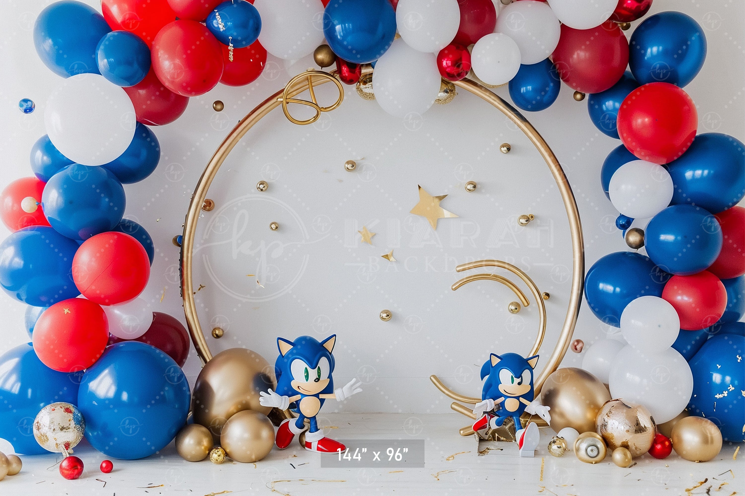 Sonic Speed Celebration Backdrop