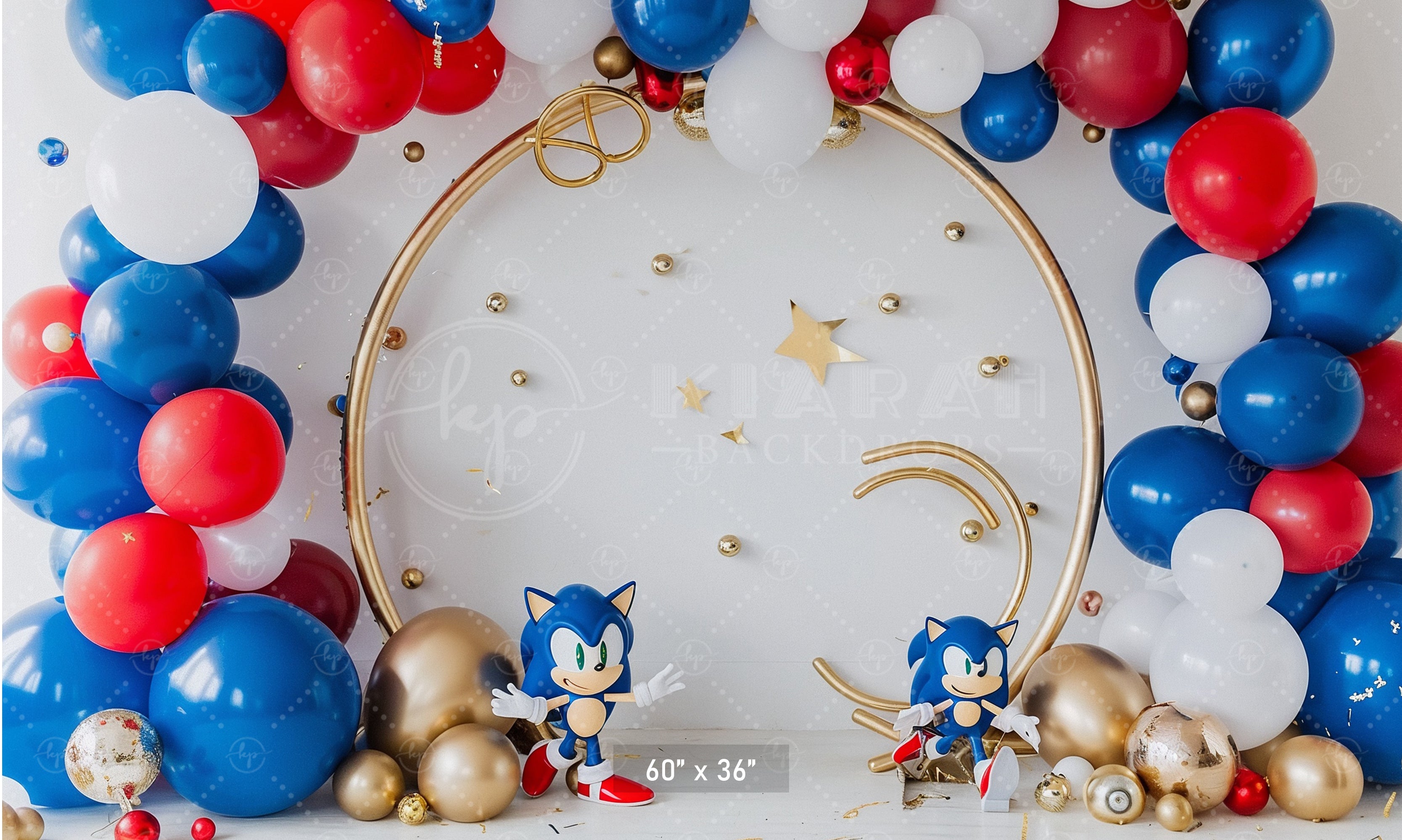 Sonic Speed Celebration Backdrop
