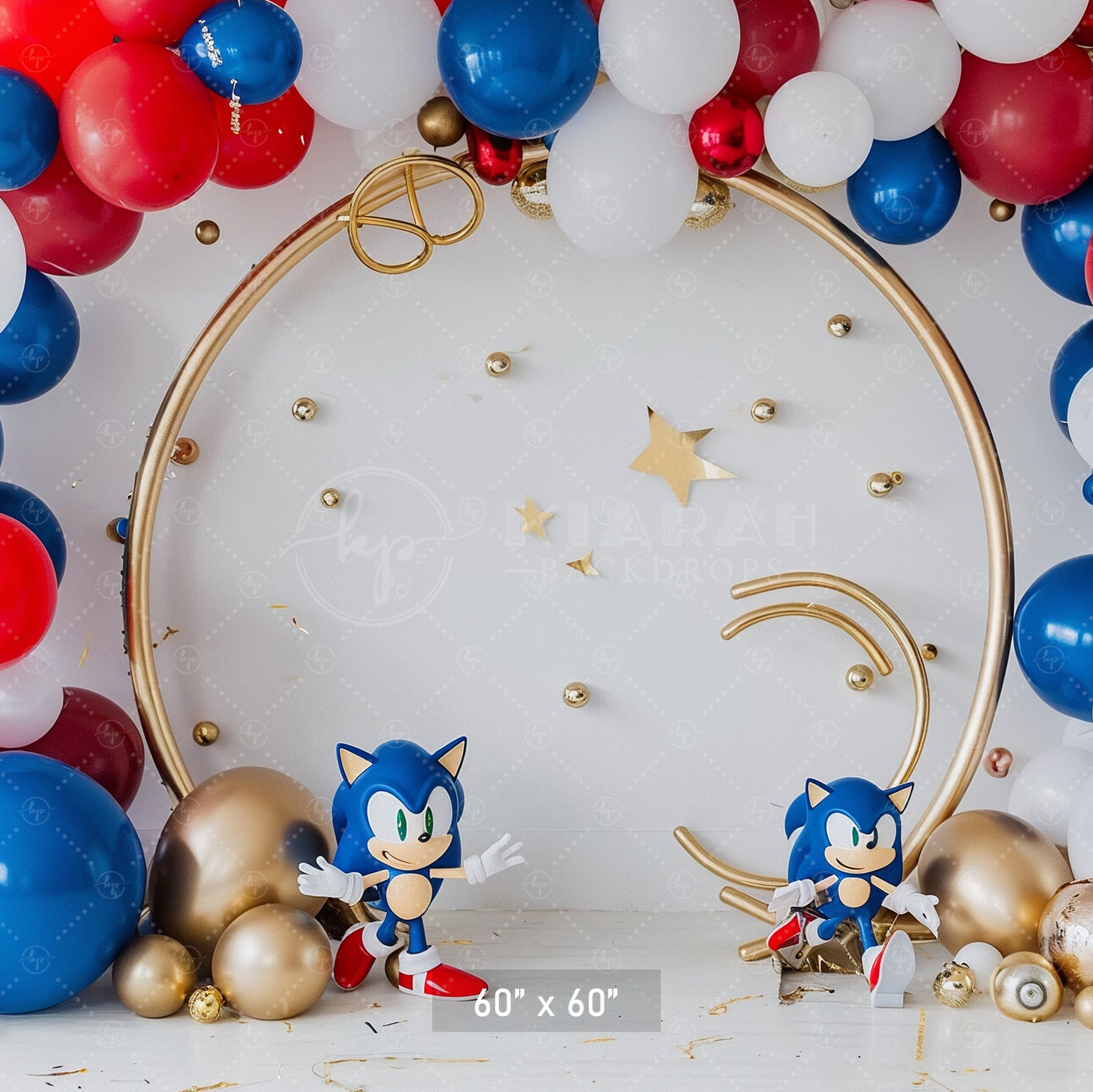 Sonic Speed Celebration Backdrop