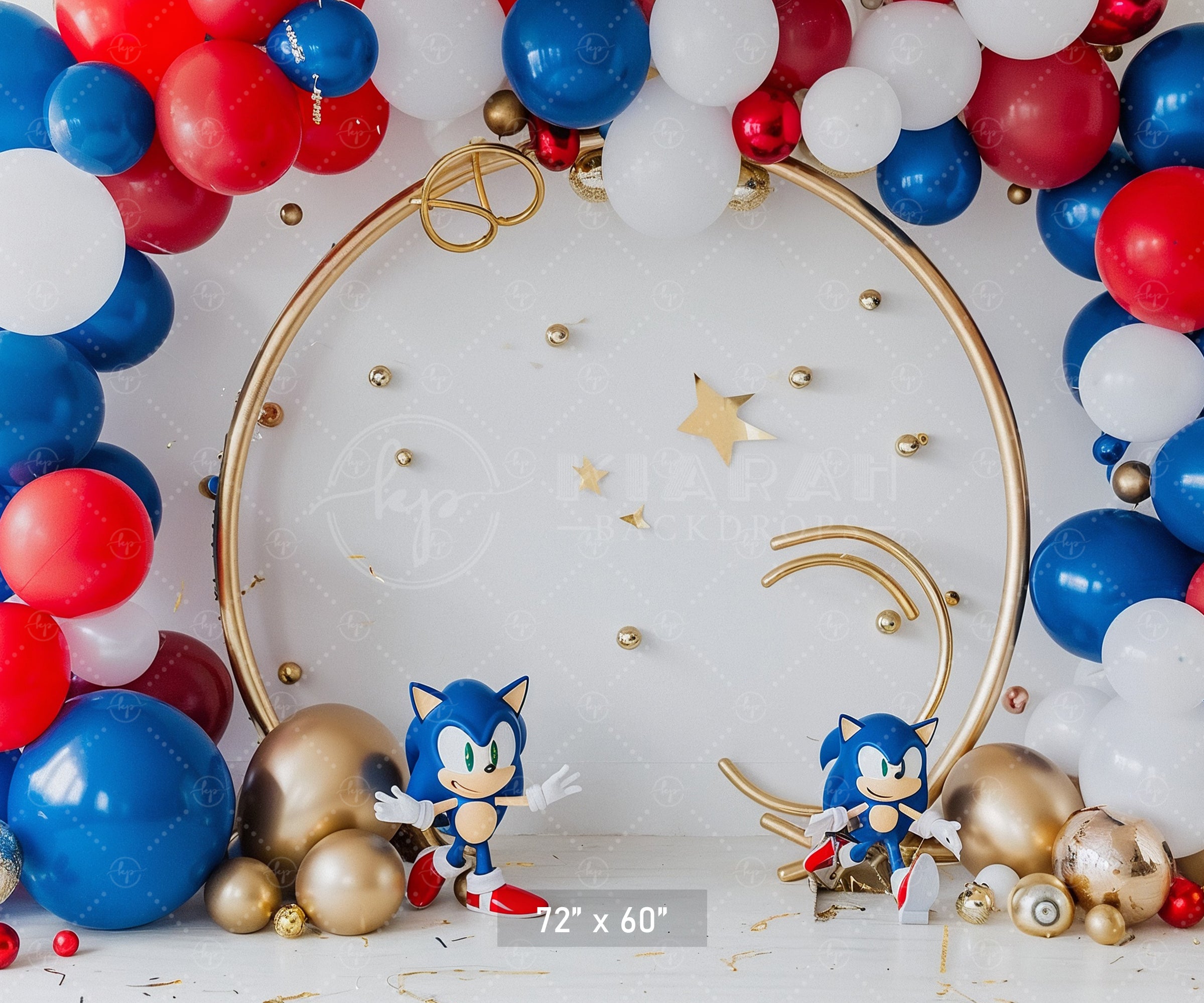 Sonic Speed Celebration Backdrop