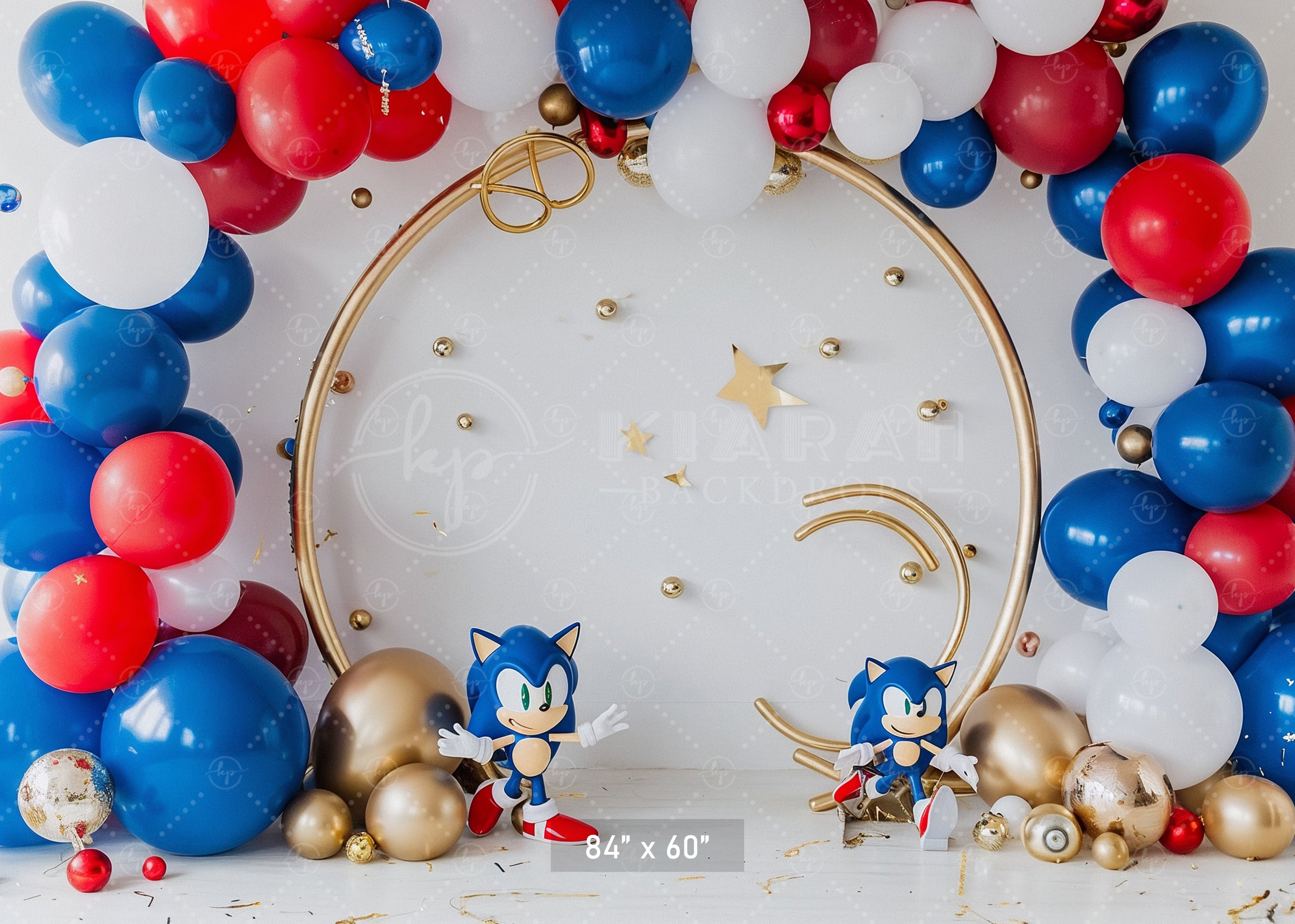 Sonic Speed Celebration Backdrop