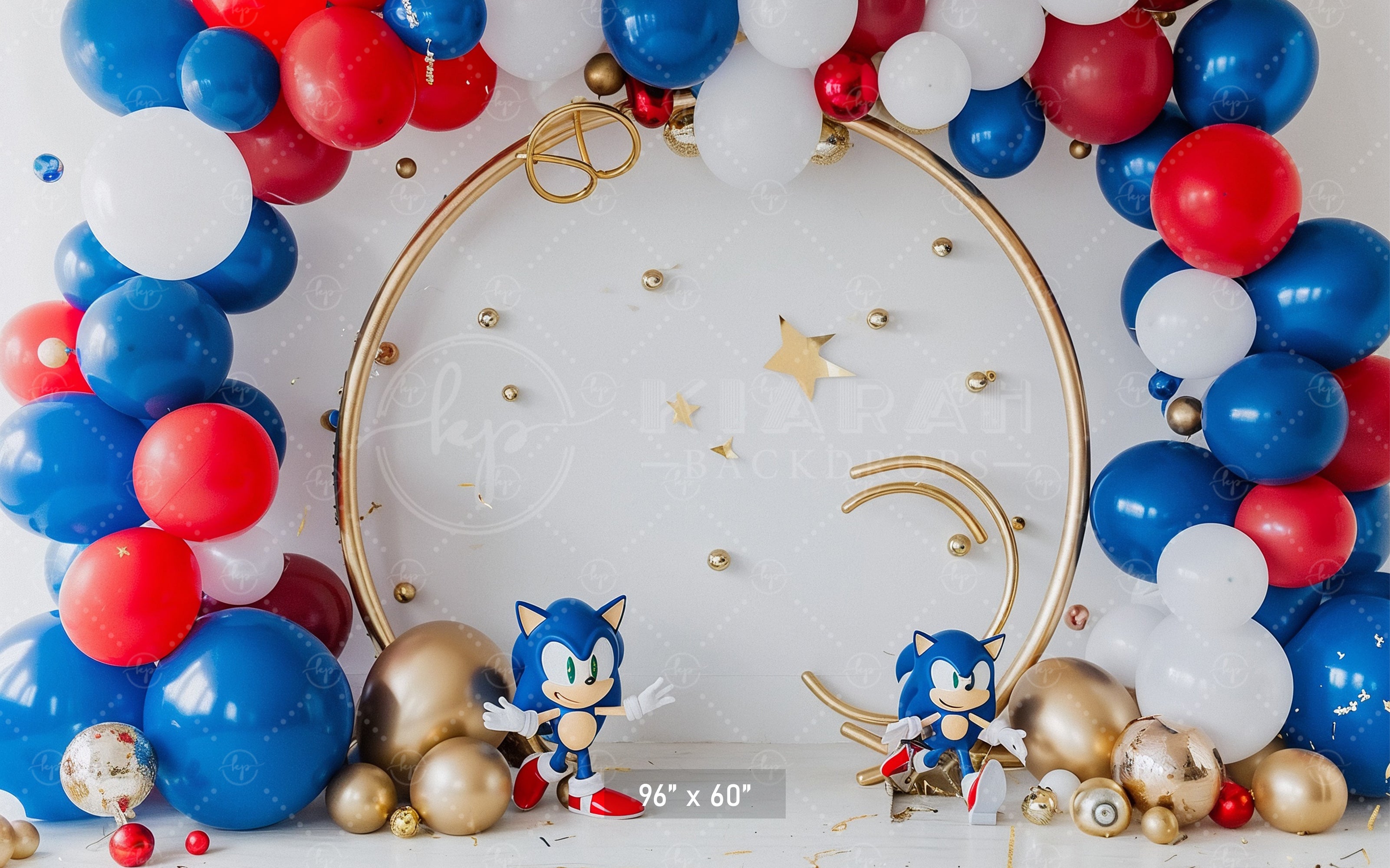 Sonic Speed Celebration Backdrop