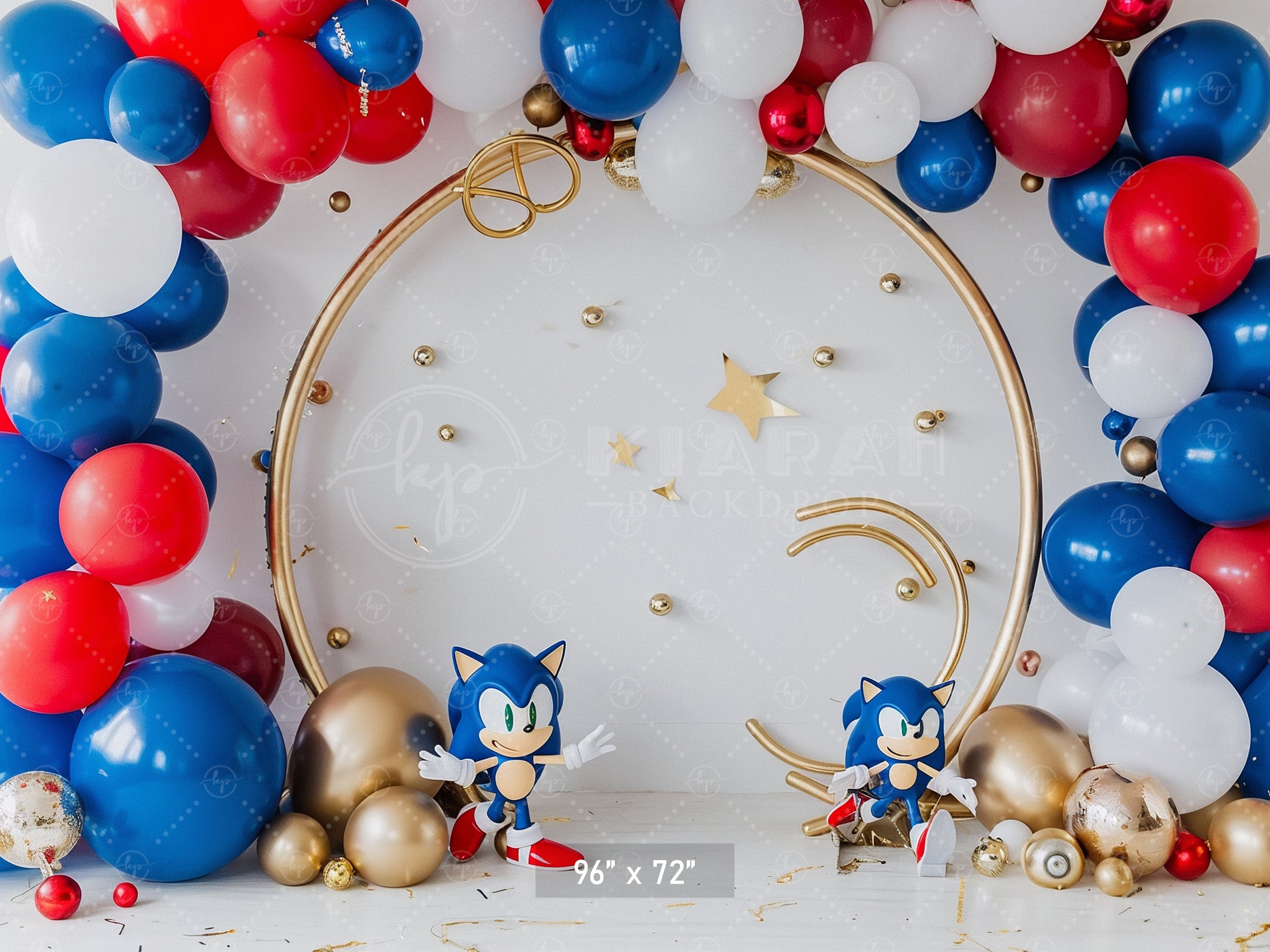 Sonic Speed Celebration Backdrop