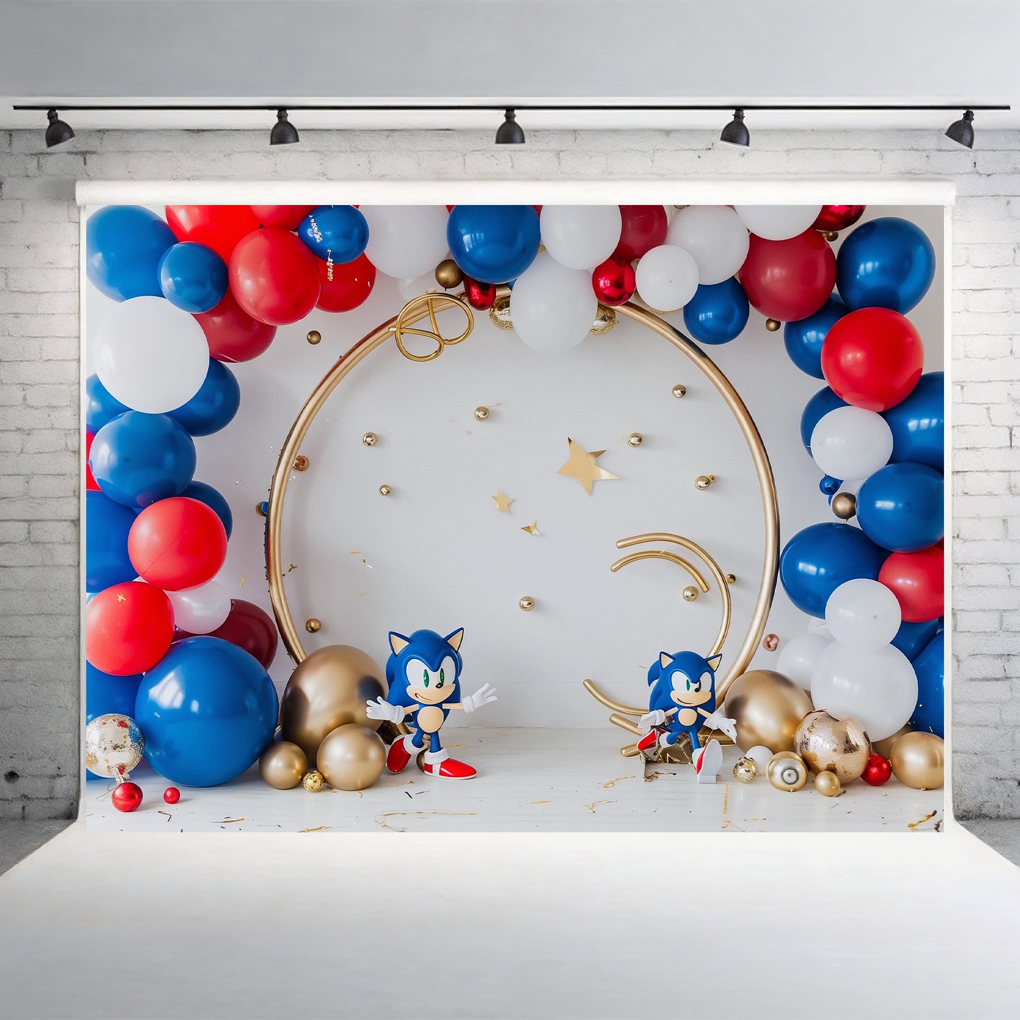 Sonic Speed Celebration Backdrop
