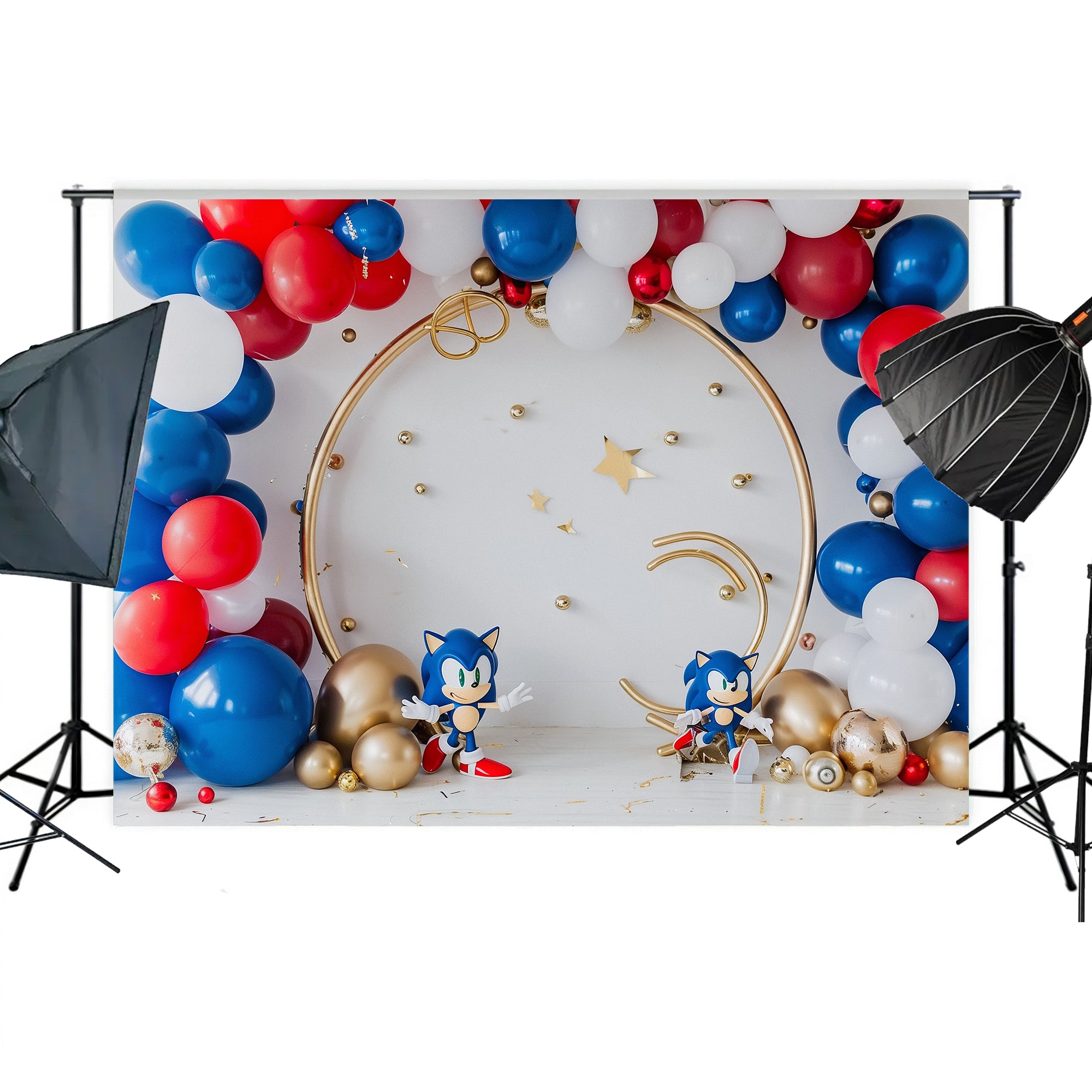 Sonic Speed Celebration Backdrop