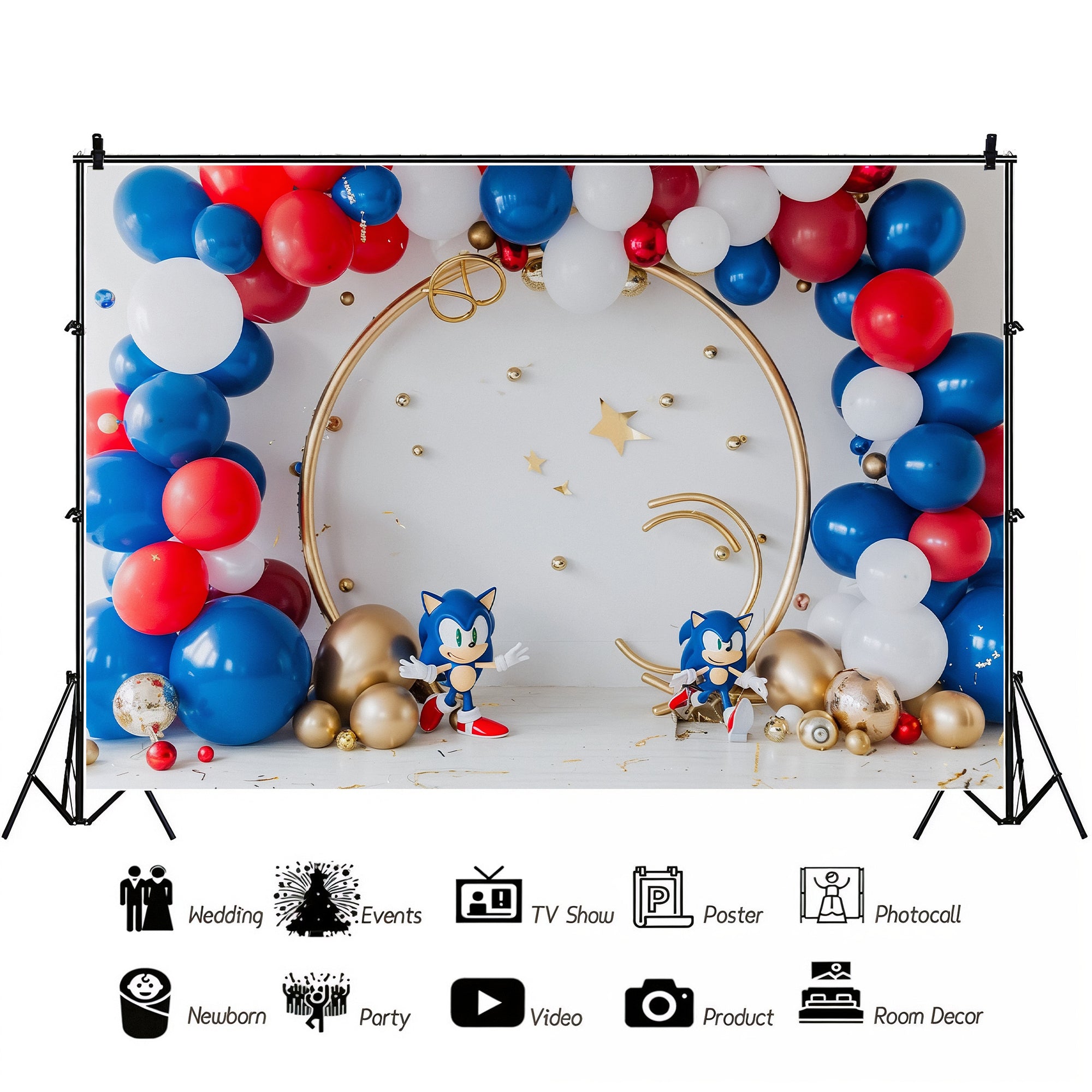 Sonic Speed Celebration Backdrop