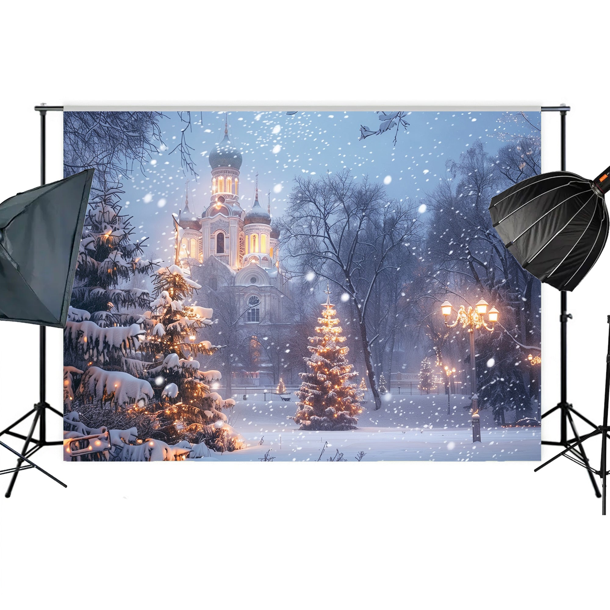 Winter Wonderland Cathedral Backdrop