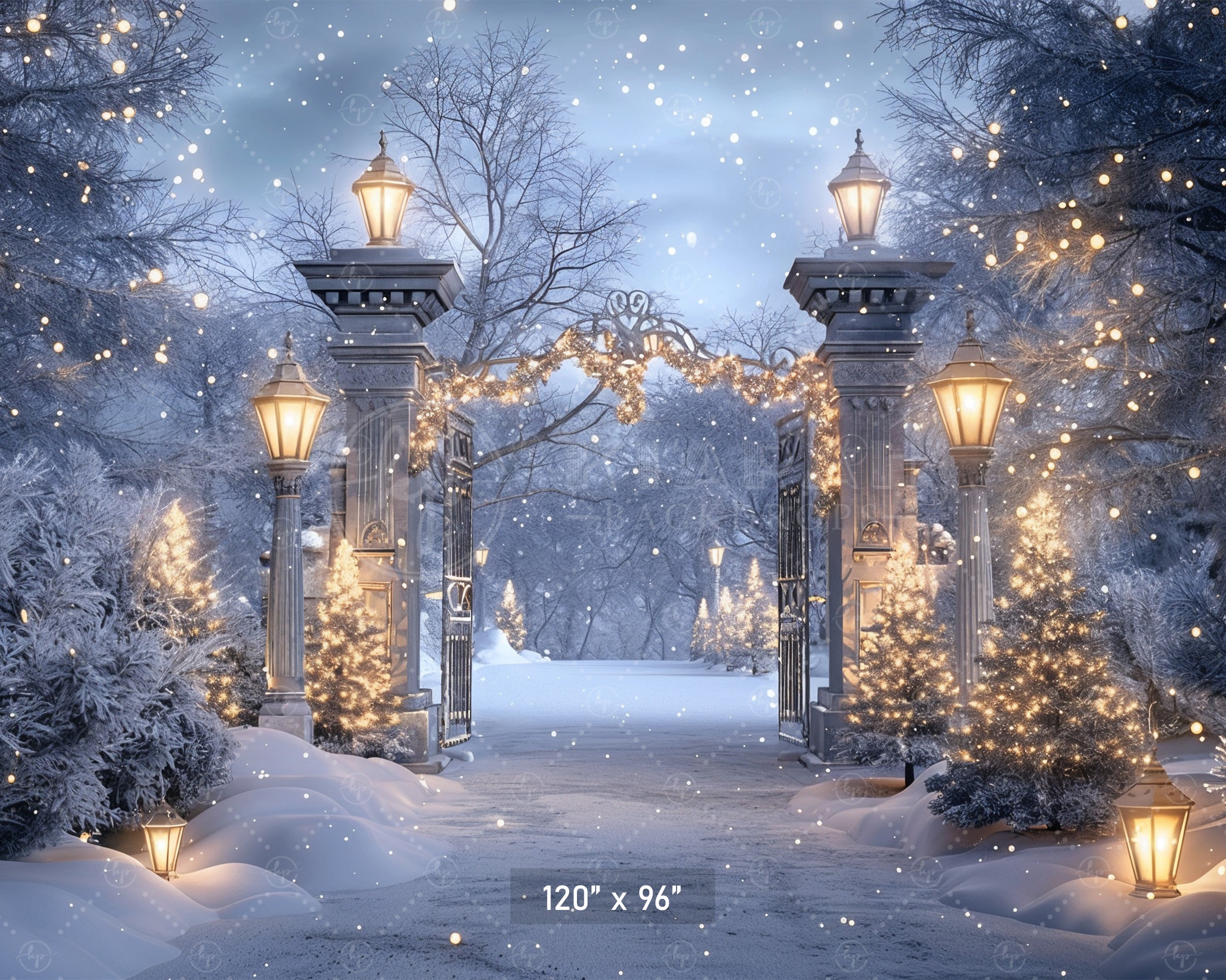 Enchanted Winter Gate Backdrop