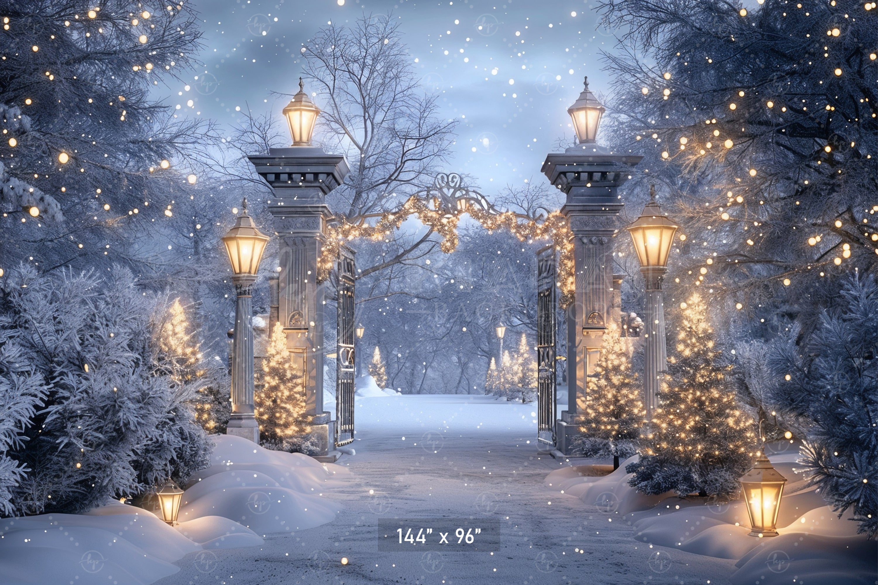 Enchanted Winter Gate Backdrop