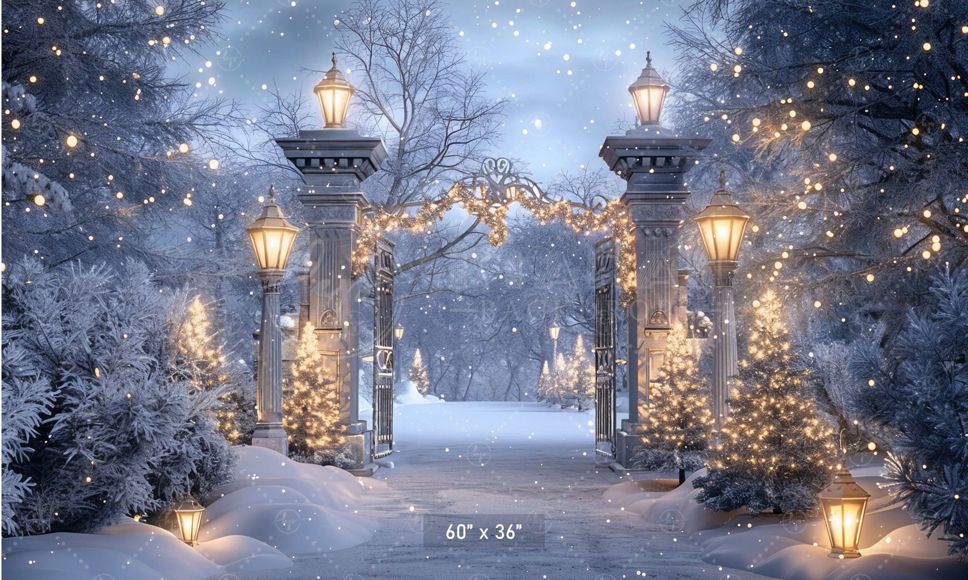 Enchanted Winter Gate Backdrop