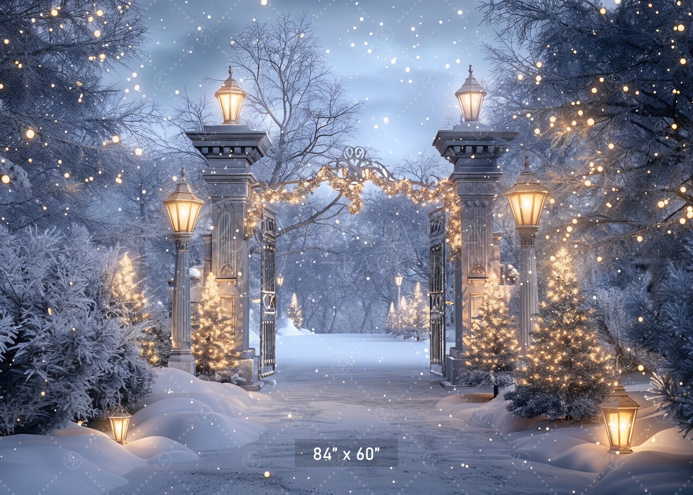 Enchanted Winter Gate Backdrop
