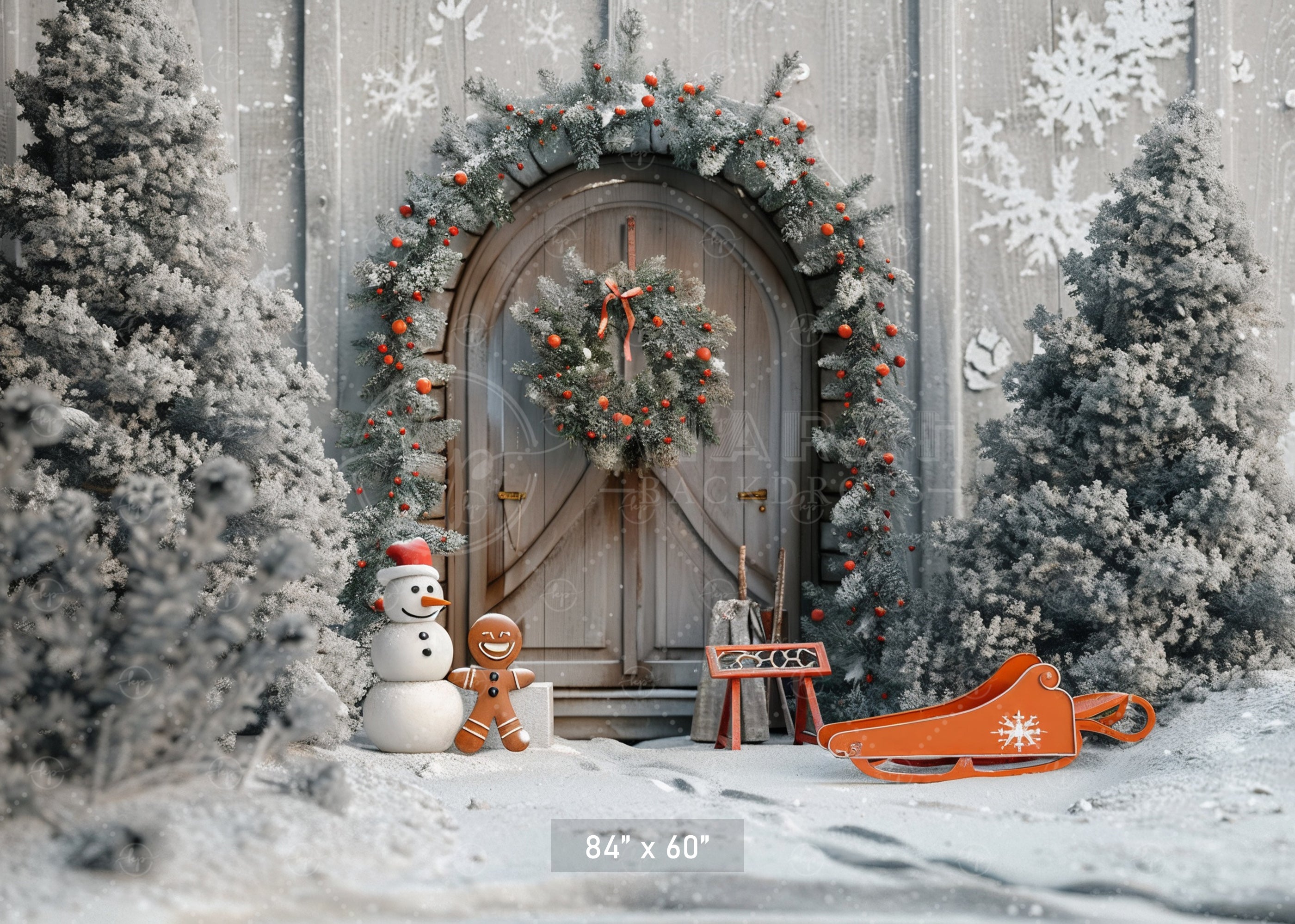 Snowy Woodland Doorway Backdrop