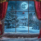 Winter Window Wonderland Backdrop