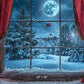Winter Window Wonderland Backdrop