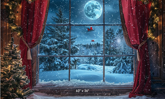 Winter Window Wonderland Backdrop