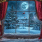 Winter Window Wonderland Backdrop