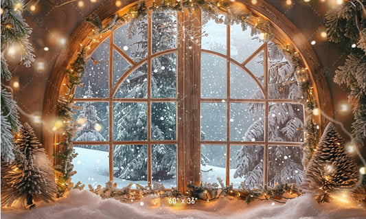 Winter Wonderland Window Backdrop