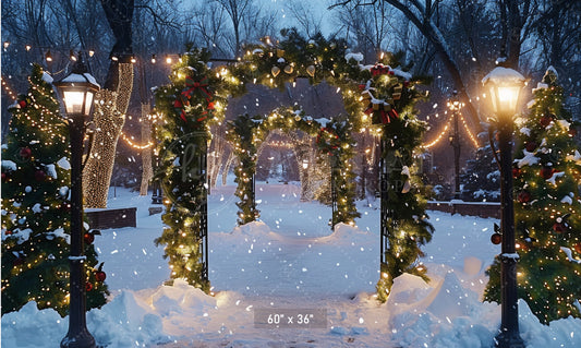 Snowy Christmas Archway Backdrop