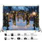 Snowy Christmas Archway Backdrop