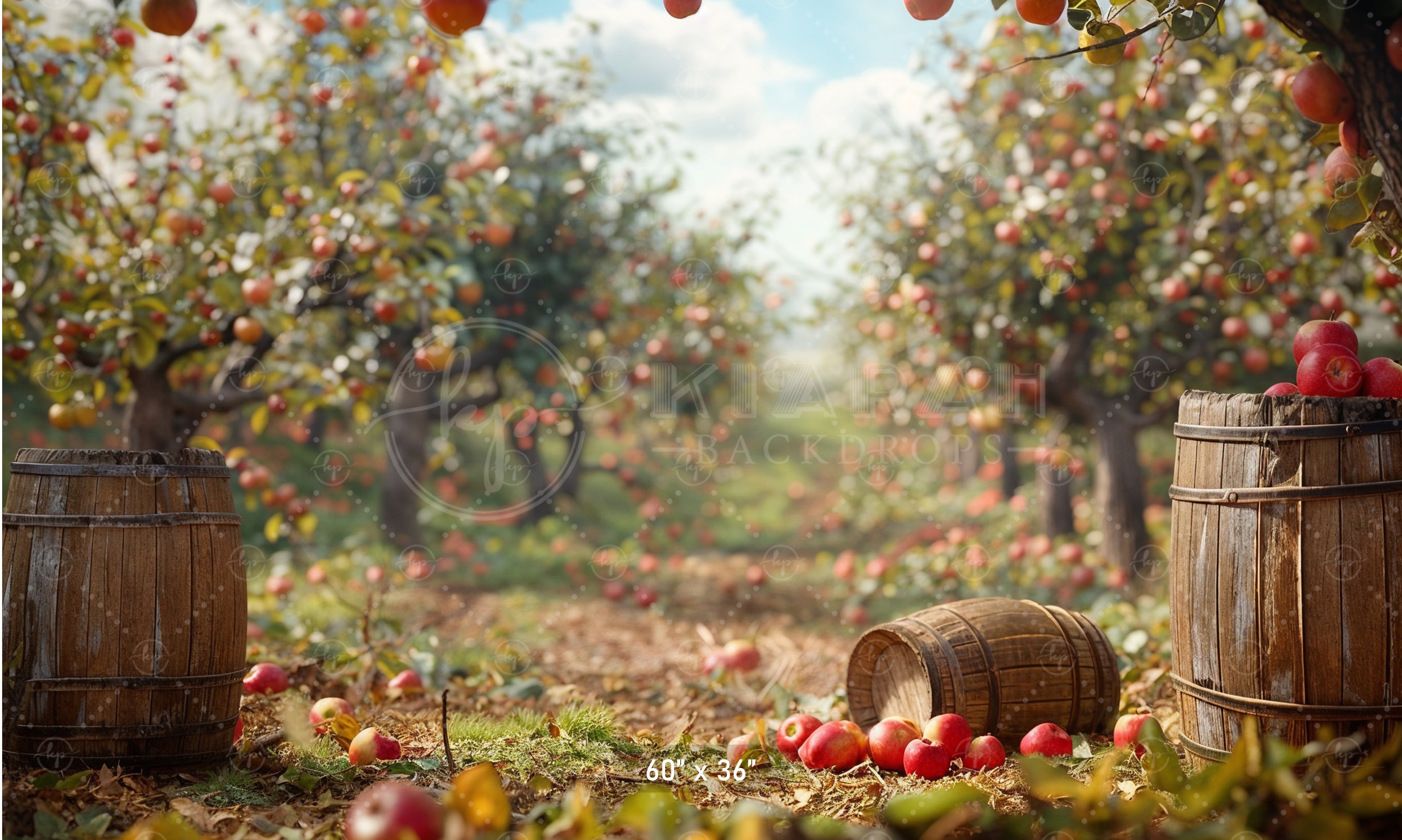 Rustic Apple Orchard Backdrop