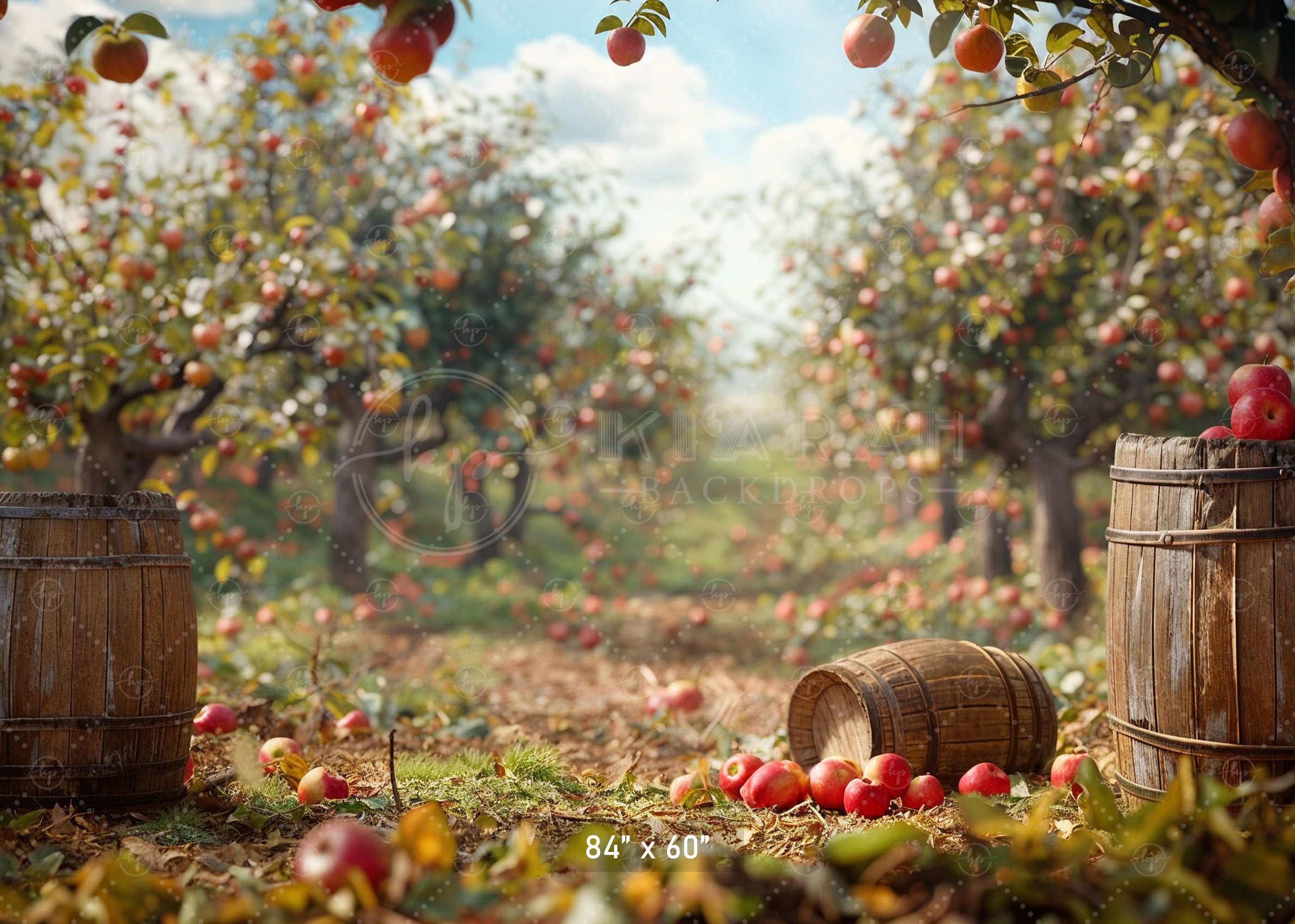 Rustic Apple Orchard Backdrop