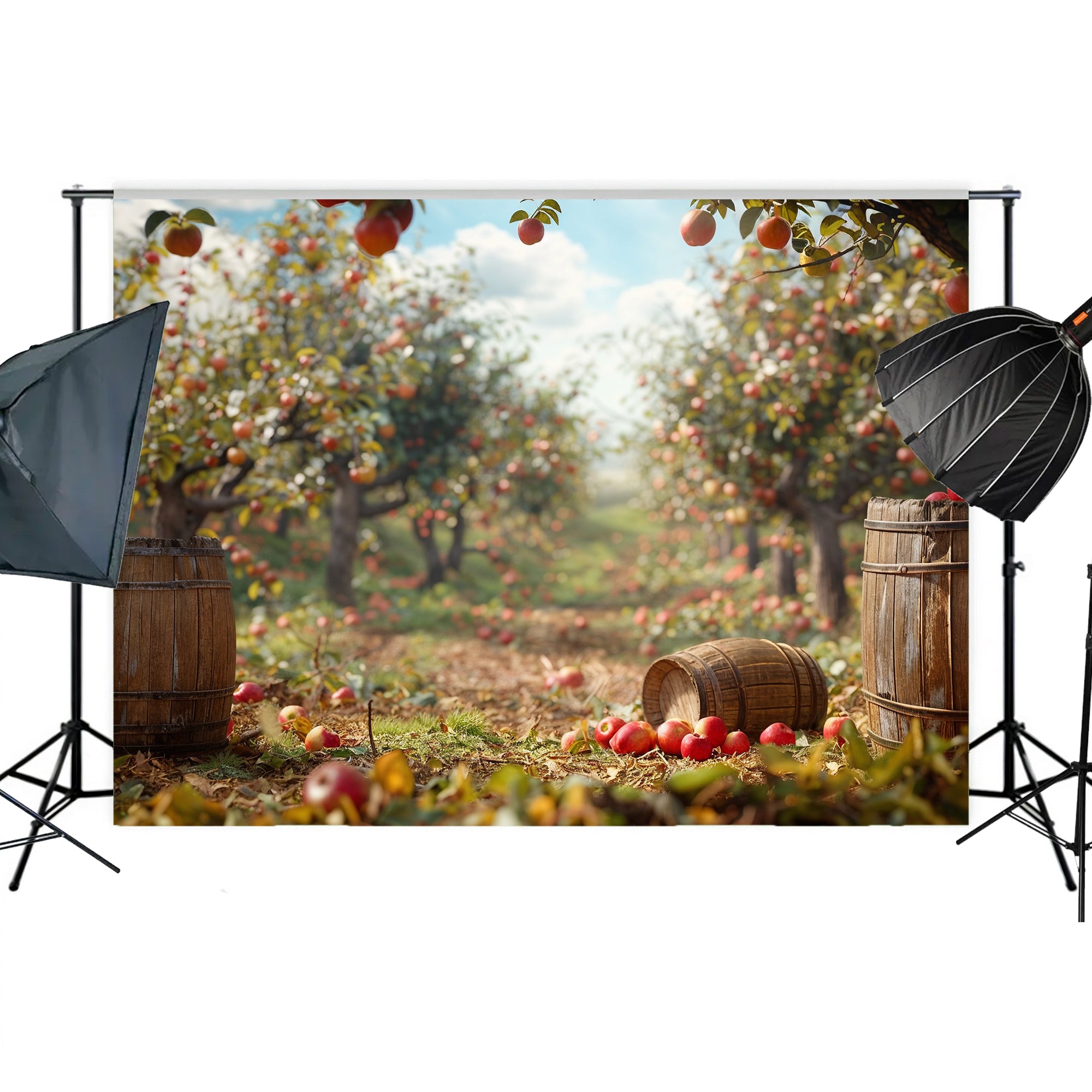 Rustic Apple Orchard Backdrop