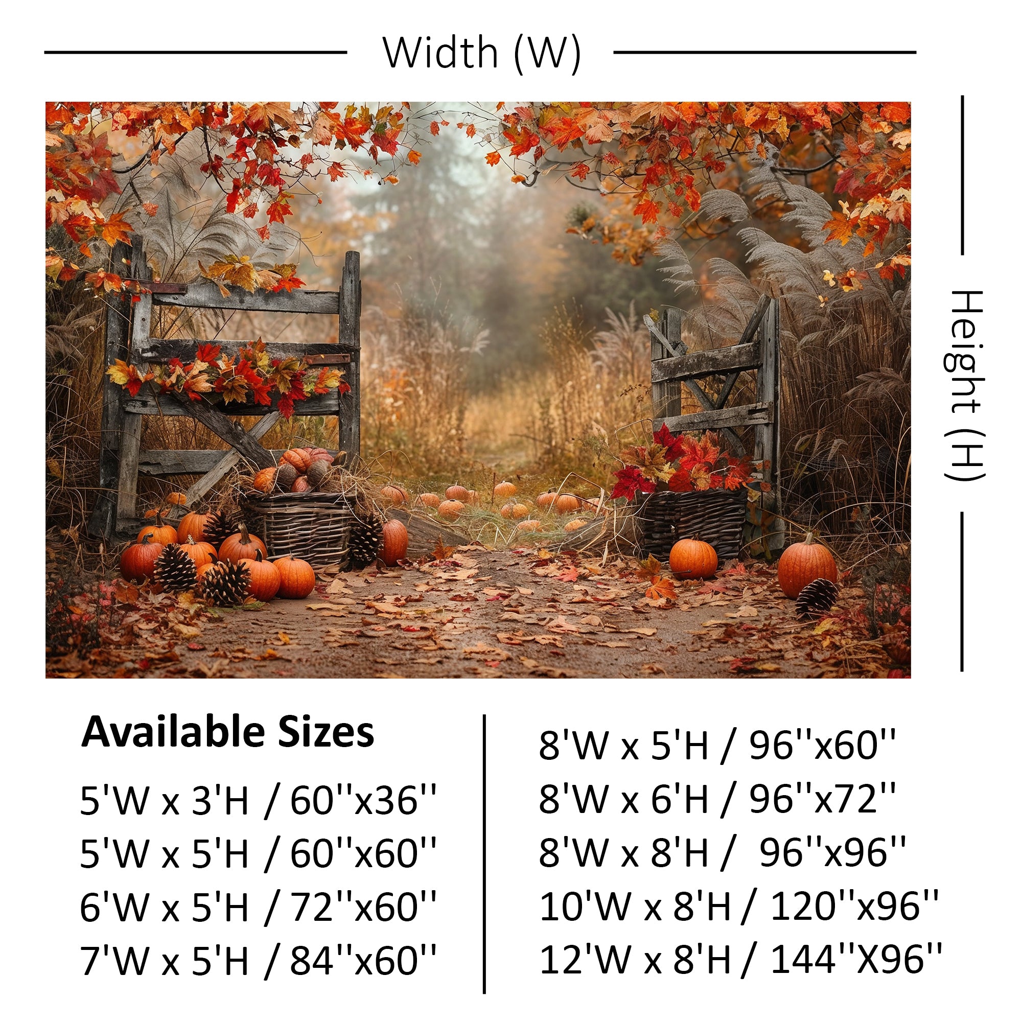 Autumn Rustic Pathway Backdrop